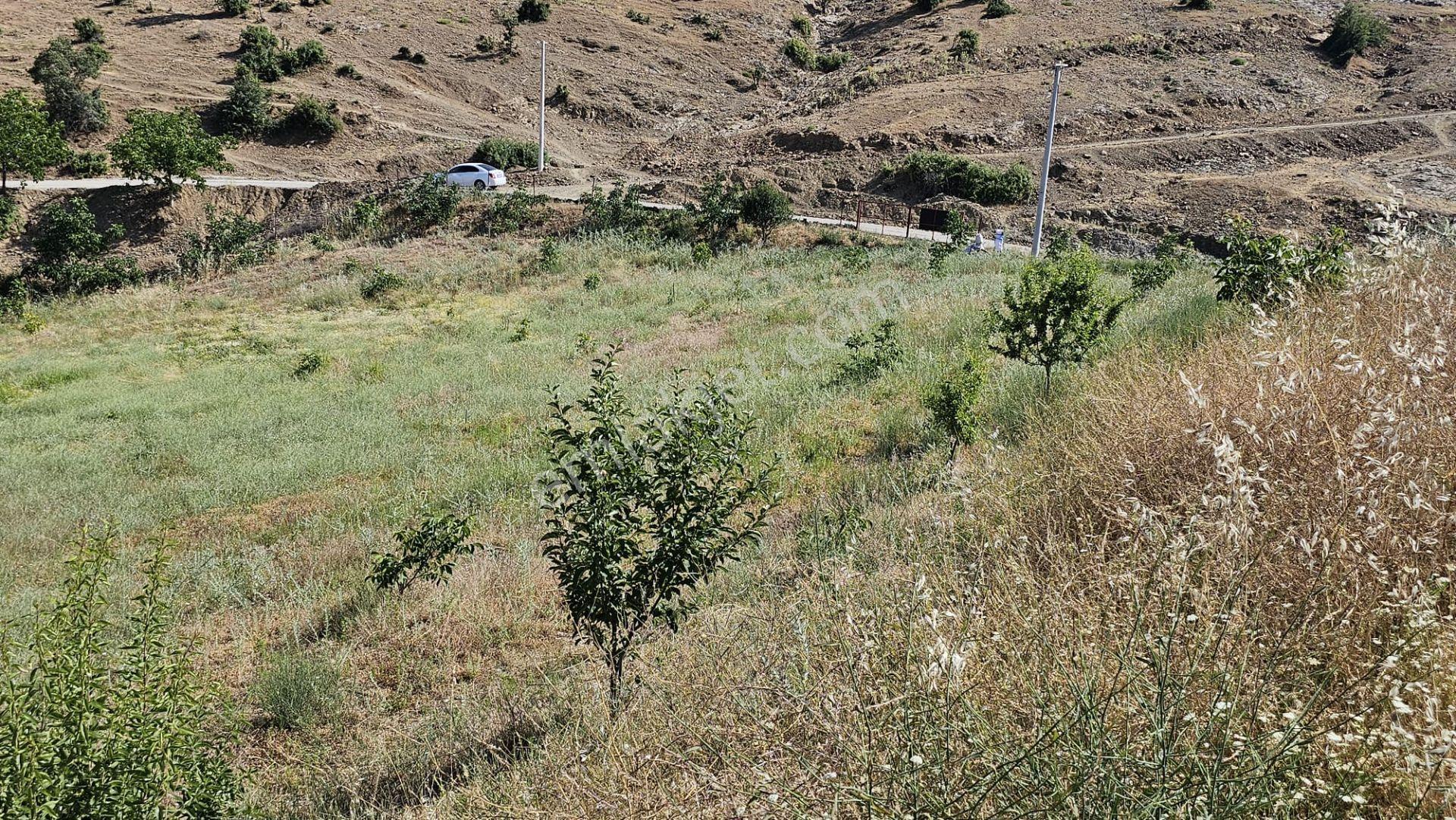 Yuvam Gayrimenkul'dan Manisa Salihli Çelikli Mah. Satılık Tarla - Görsel 34