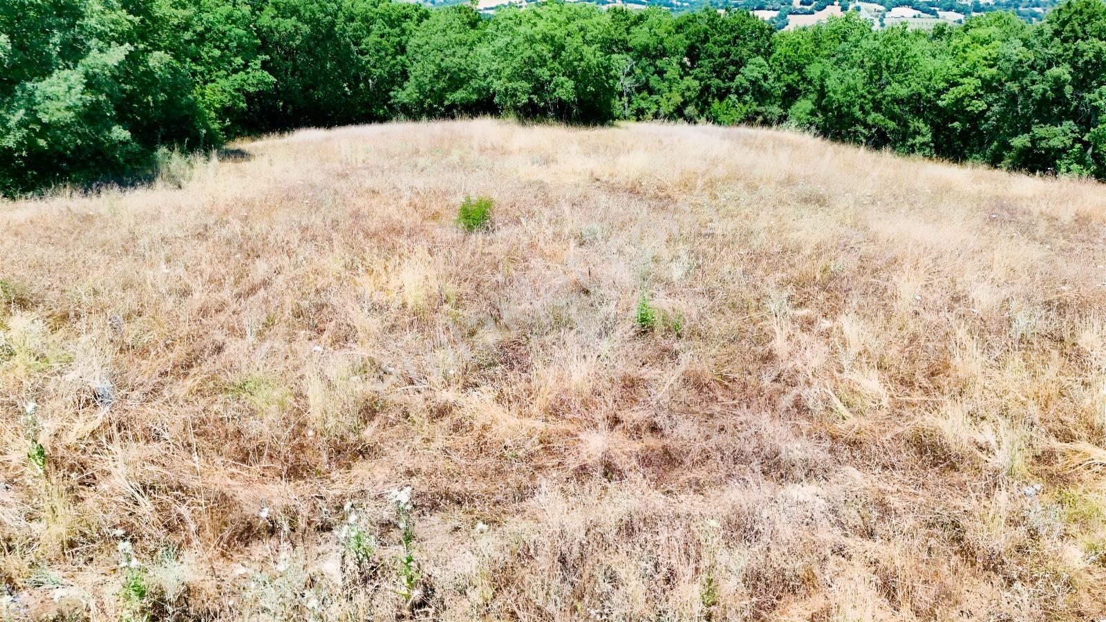 3.735 M² Müstakil Tapulu Arazi Doğa İçinde Yatırım Fırsatı Balya - Görsel 14