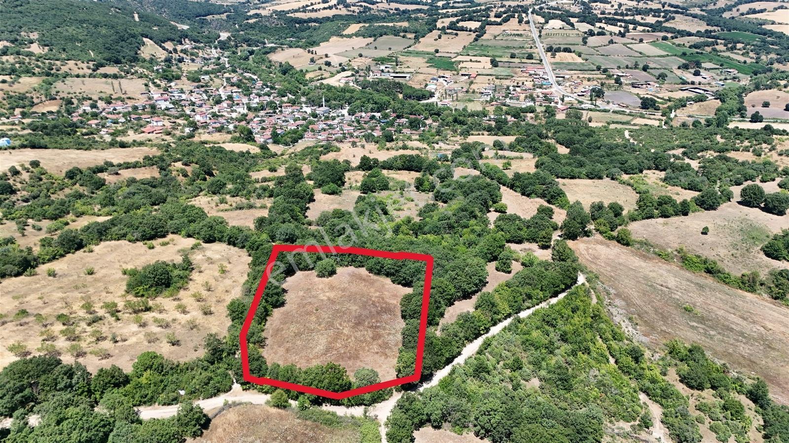 3.735 M² Müstakil Tapulu Arazi Doğa İçinde Yatırım Fırsatı Balya - Görsel 15