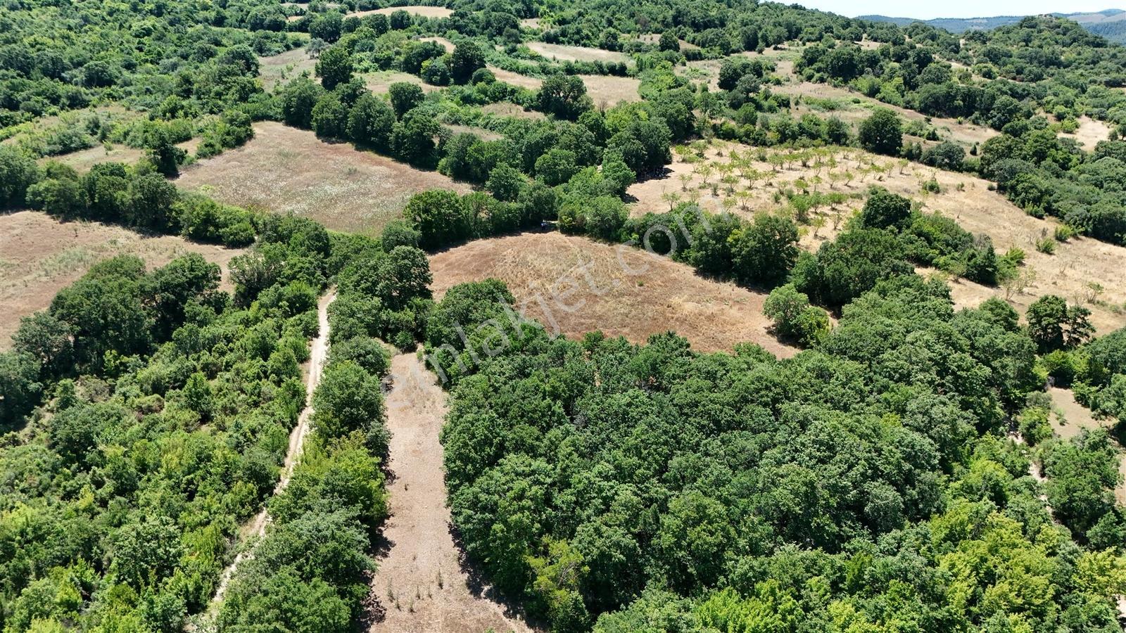 3.735 M² Müstakil Tapulu Arazi Doğa İçinde Yatırım Fırsatı Balya - Görsel 23