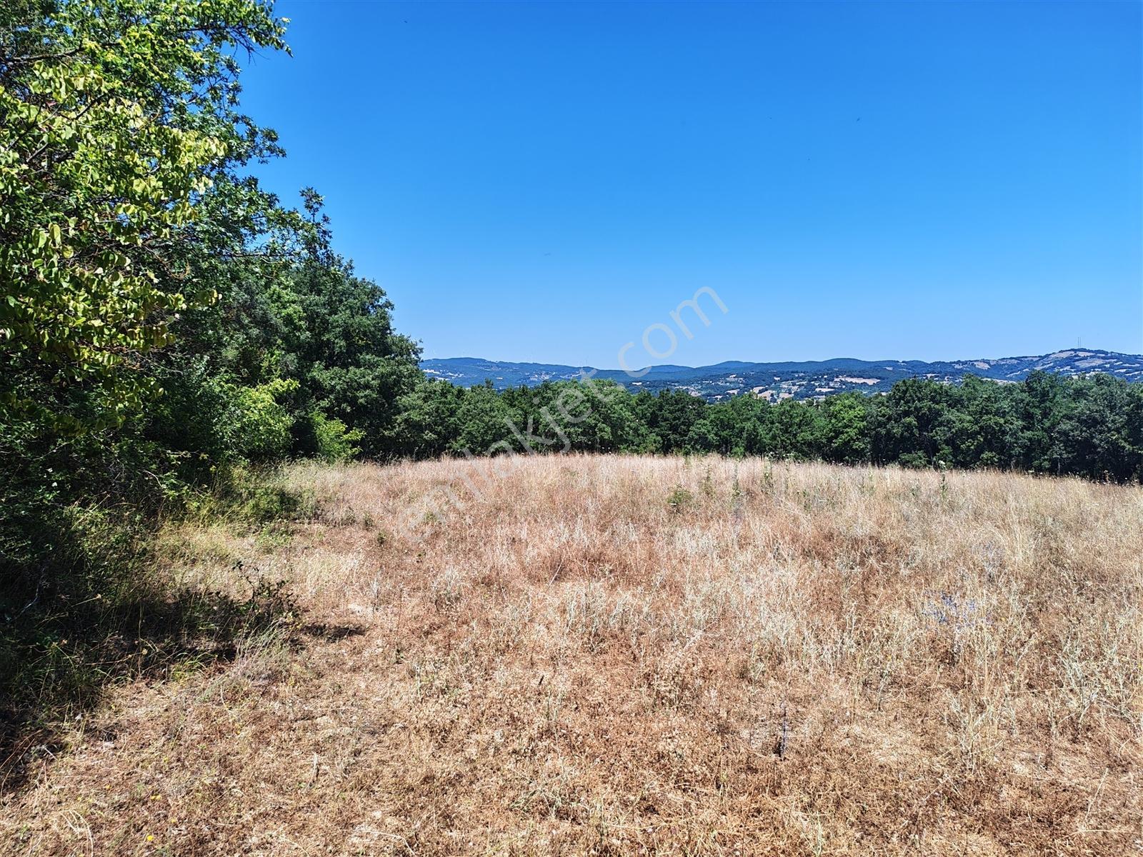 3.735 M² Müstakil Tapulu Arazi Doğa İçinde Yatırım Fırsatı Balya - Görsel 27
