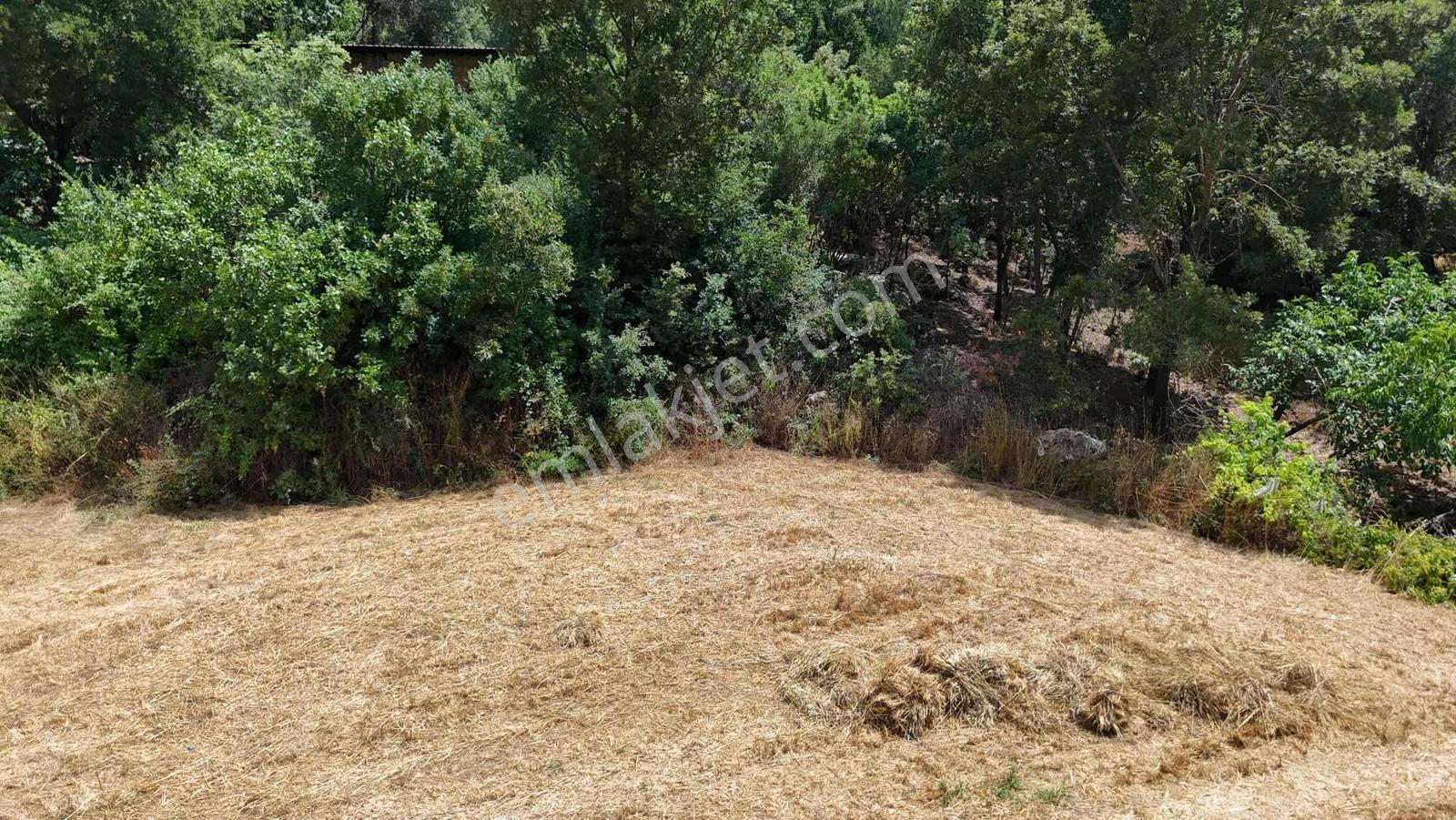 Muğla'da Denize Kıyısı Olan Köyde Arsa - Görsel 20
