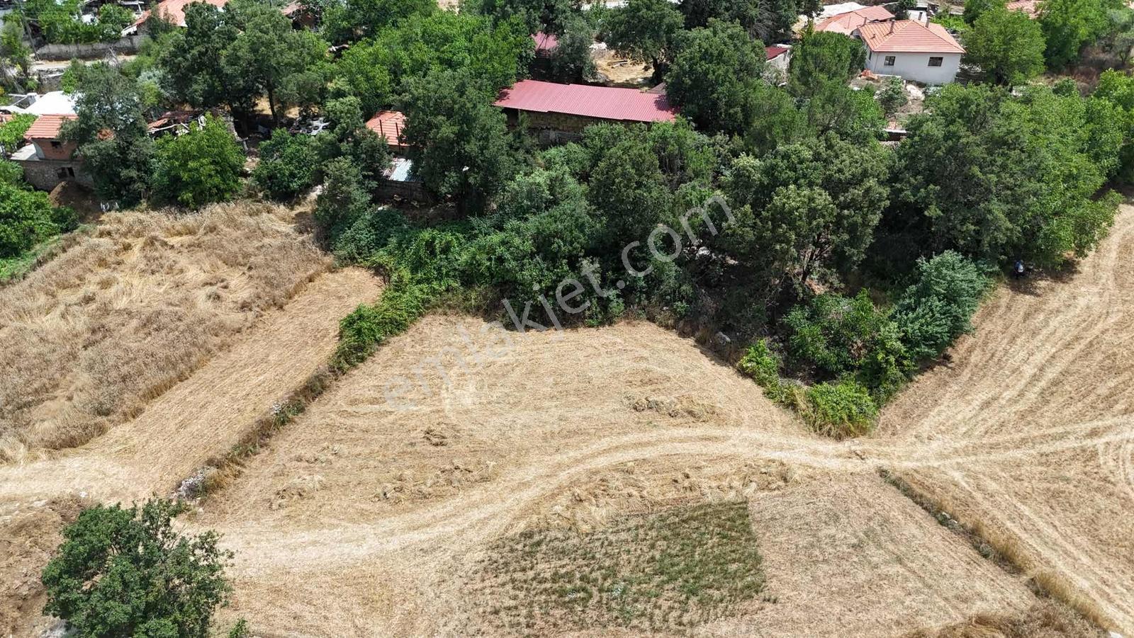 Muğla'da Denize Kıyısı Olan Köyde Arsa - Görsel 23
