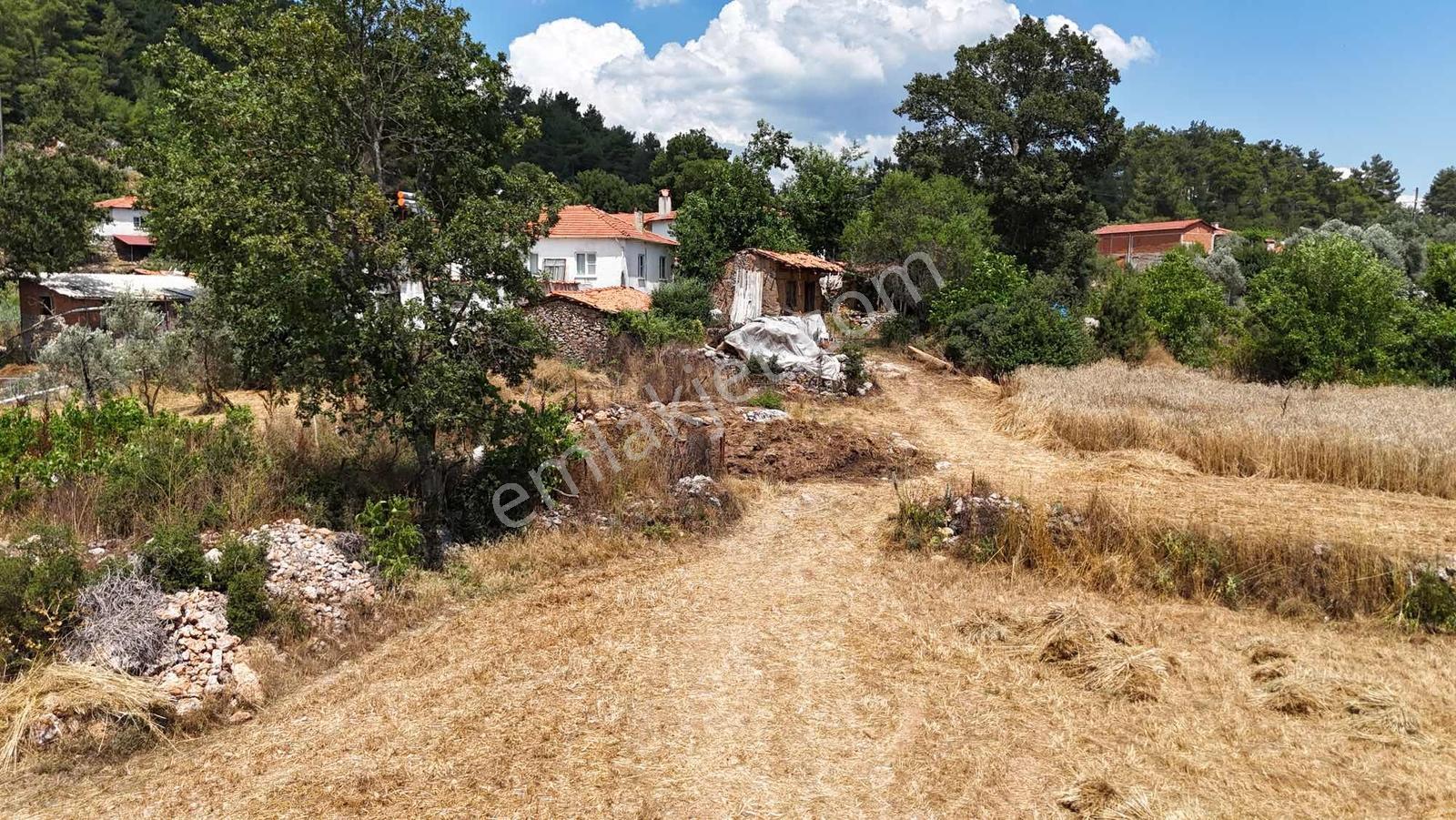 Muğla'da Denize Kıyısı Olan Köyde Arsa - Görsel 14