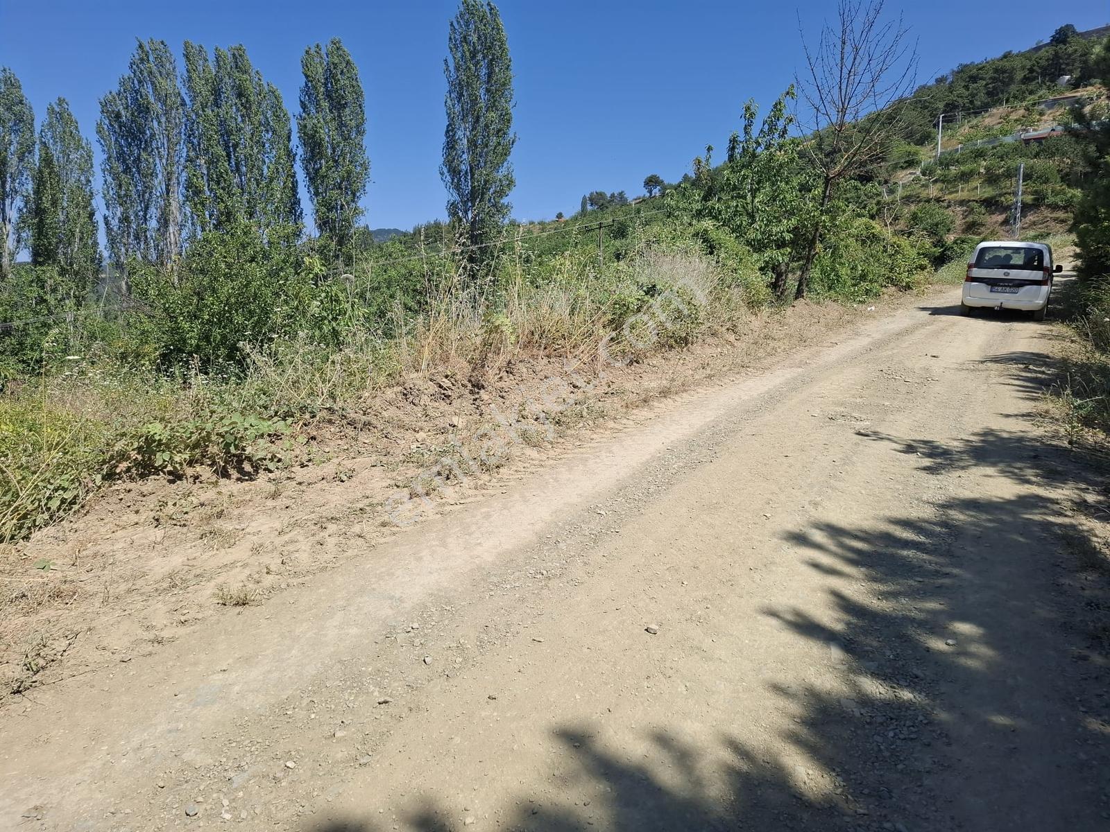 Geyve Ceceler'de Yatırımlık Ve Kullanıma Hazır Müstakil Bahçe