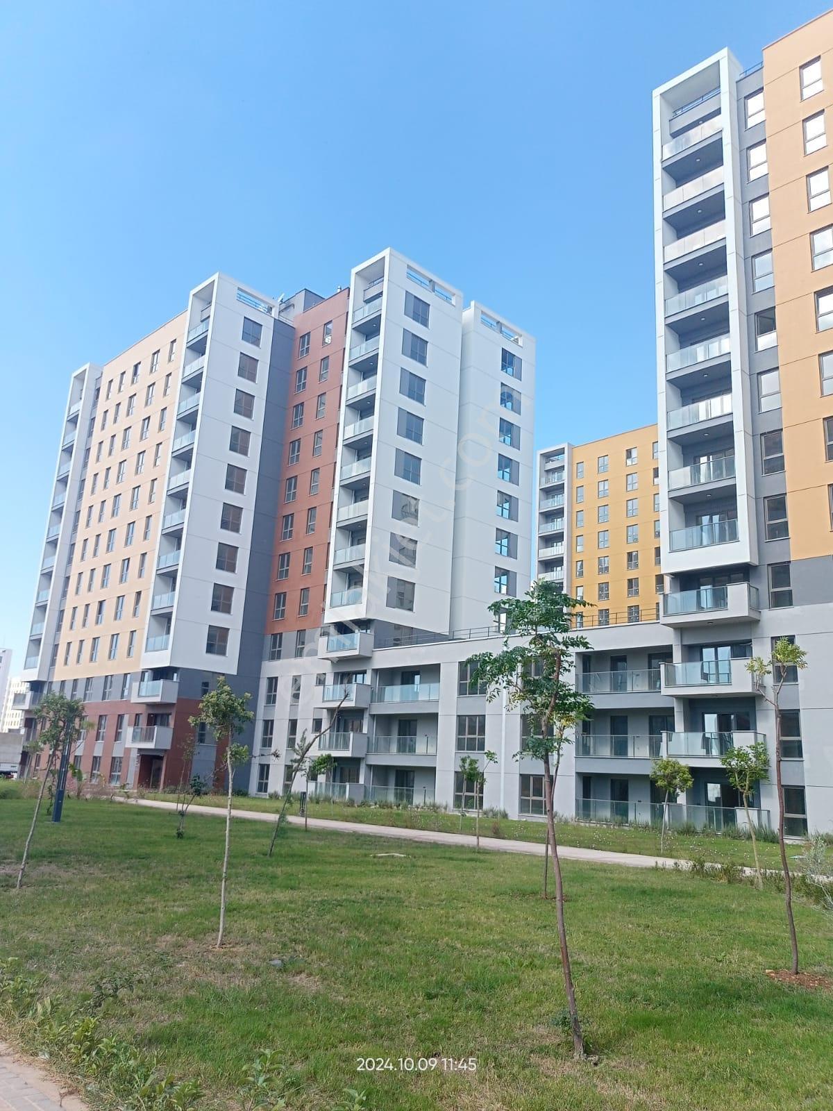 Kepez Suryapı C Parsel 2+1 Kiralık Giriş Daire - Görsel 9
