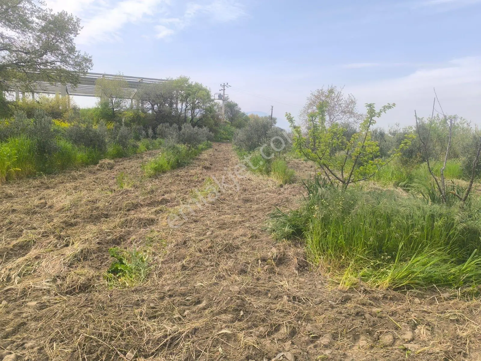 İzmir Kemalpaşa Halilbeyli Yerleşim Merkezinde Satılık Tarla - Görsel 5