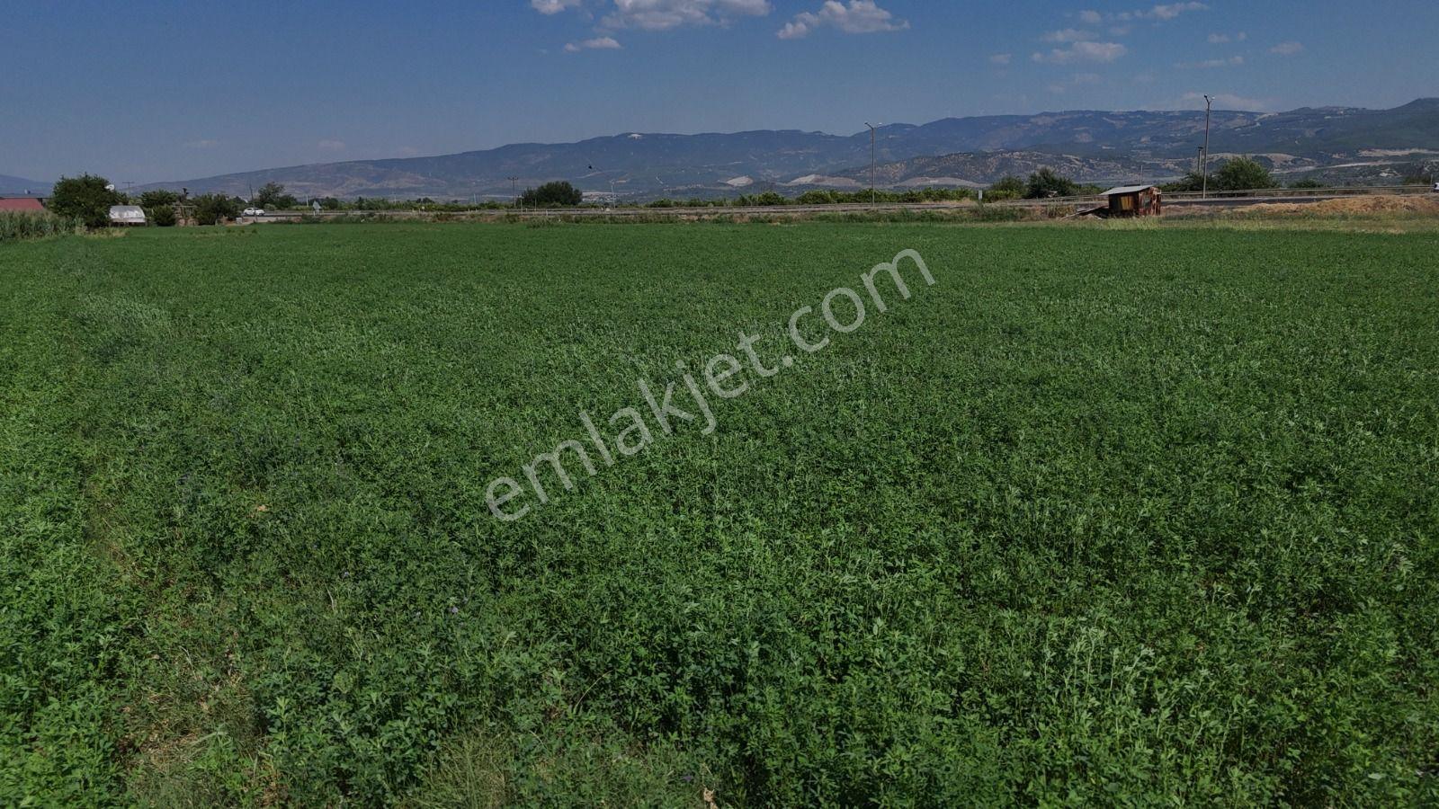 Pamukören'de %25 İmarlı 2 Kat İzni Olan 2.353 M² Yatırımlık Arsa - Görsel 21