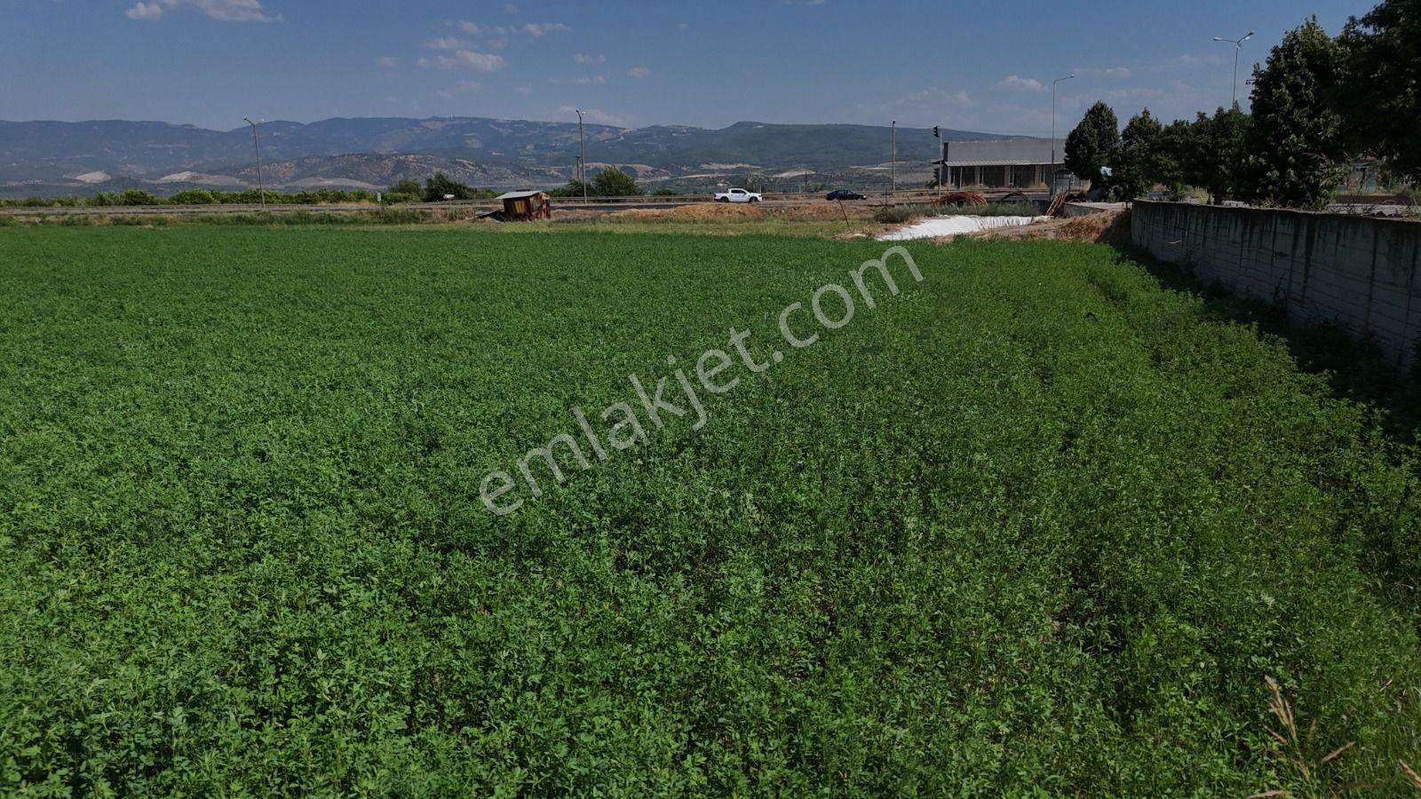 Pamukören'de %25 İmarlı 2 Kat İzni Olan 2.353 M² Yatırımlık Arsa - Görsel 20