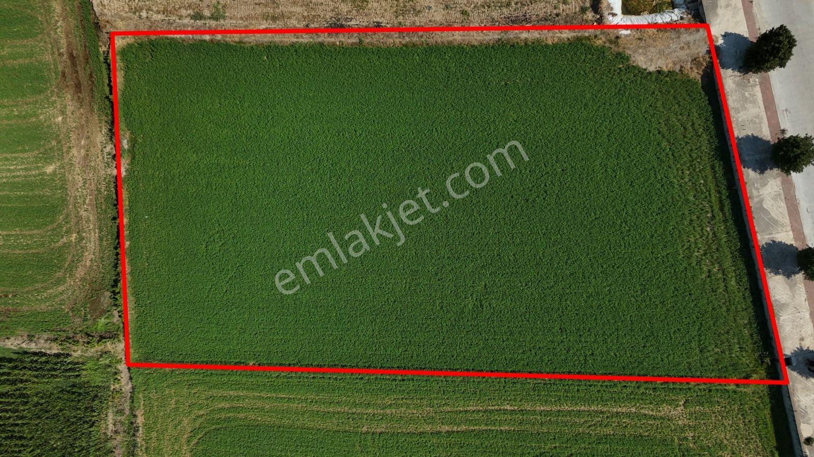 Pamukören'de %25 İmarlı 2 Kat İzni Olan 2.353 M² Yatırımlık Arsa - Görsel 16