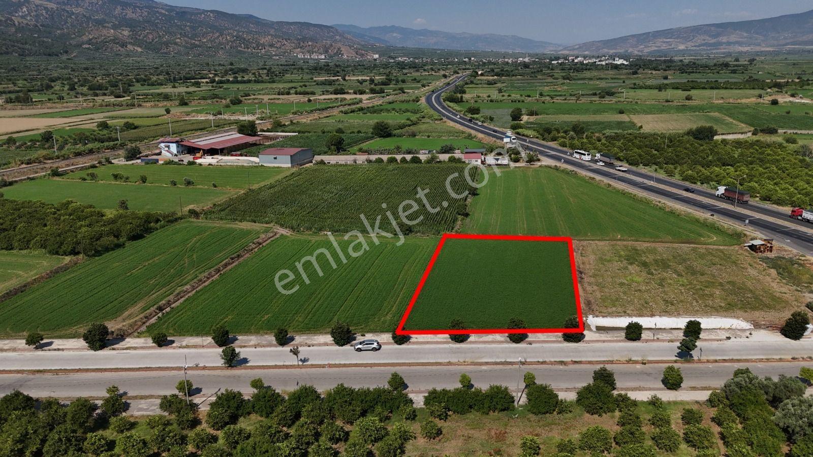 Pamukören'de %25 İmarlı 2 Kat İzni Olan 2.353 M² Yatırımlık Arsa - Görsel 9
