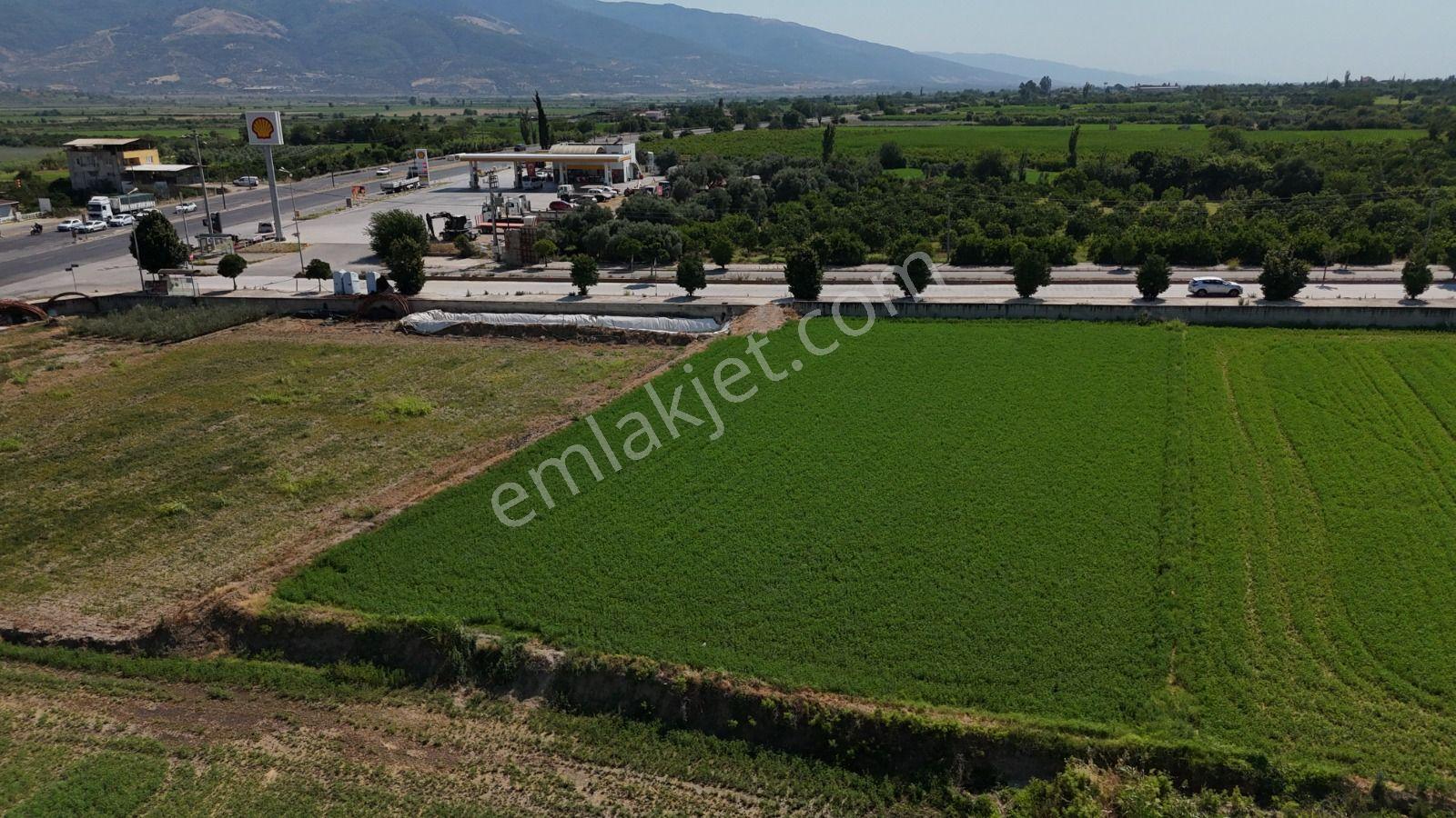 Pamukören'de %25 İmarlı 2 Kat İzni Olan 2.353 M² Yatırımlık Arsa - Görsel 12