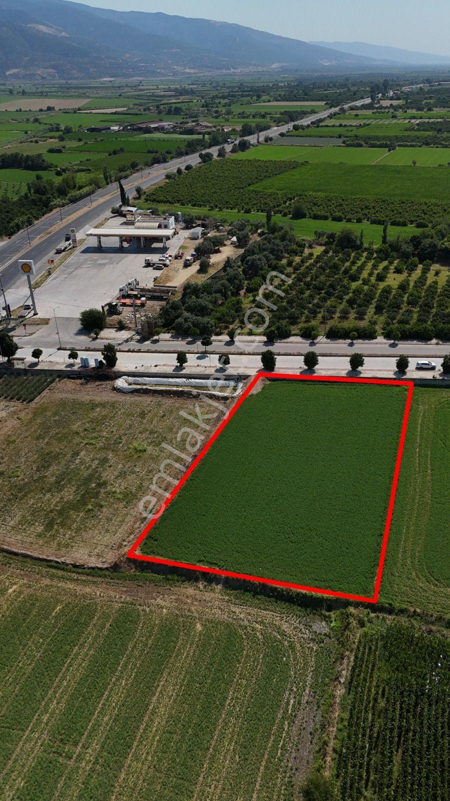 Pamukören'de %25 İmarlı 2 Kat İzni Olan 2.353 M² Yatırımlık Arsa - Görsel 27