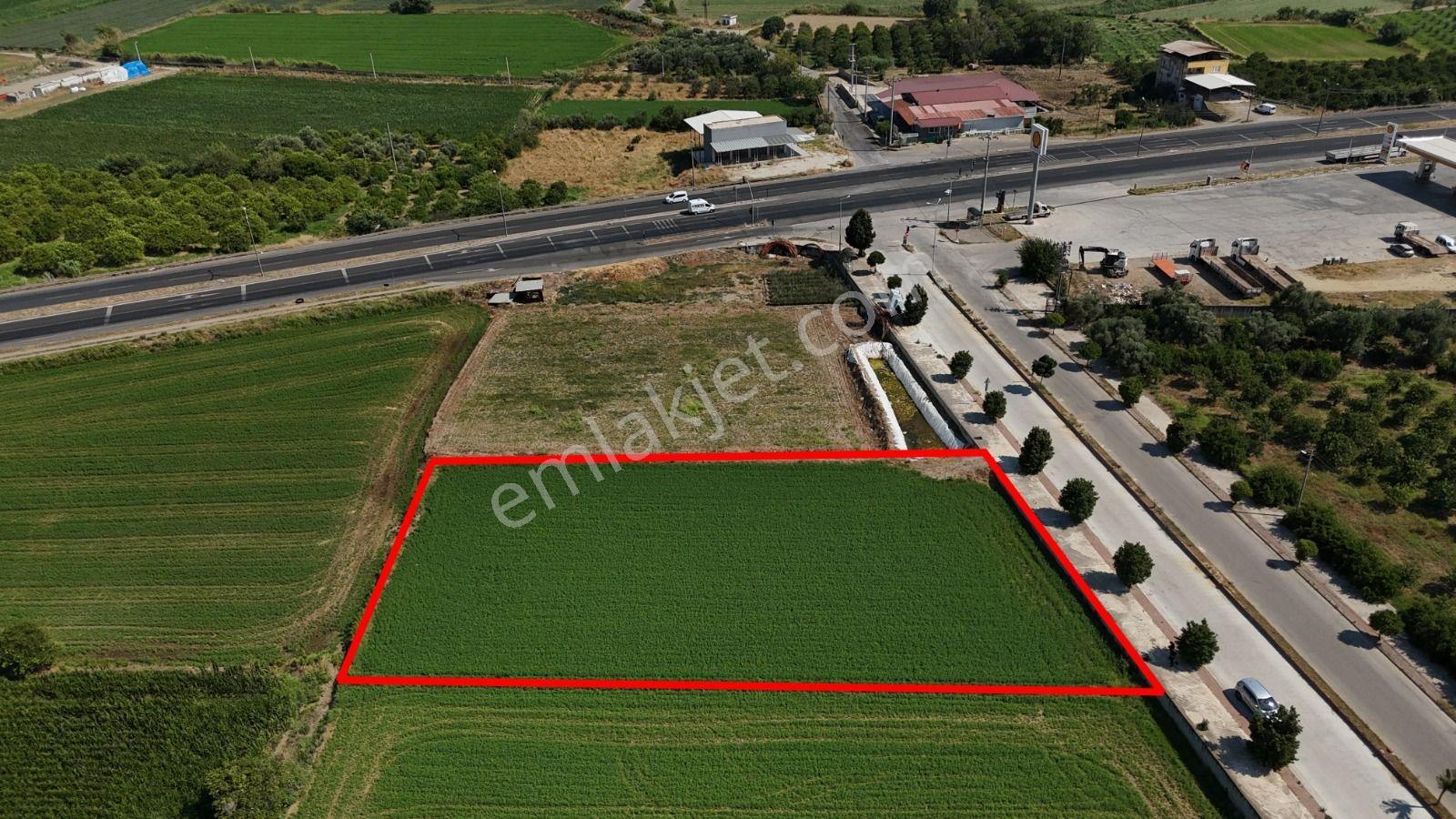 Pamukören'de %25 İmarlı 2 Kat İzni Olan 2.353 M² Yatırımlık Arsa - Görsel 2