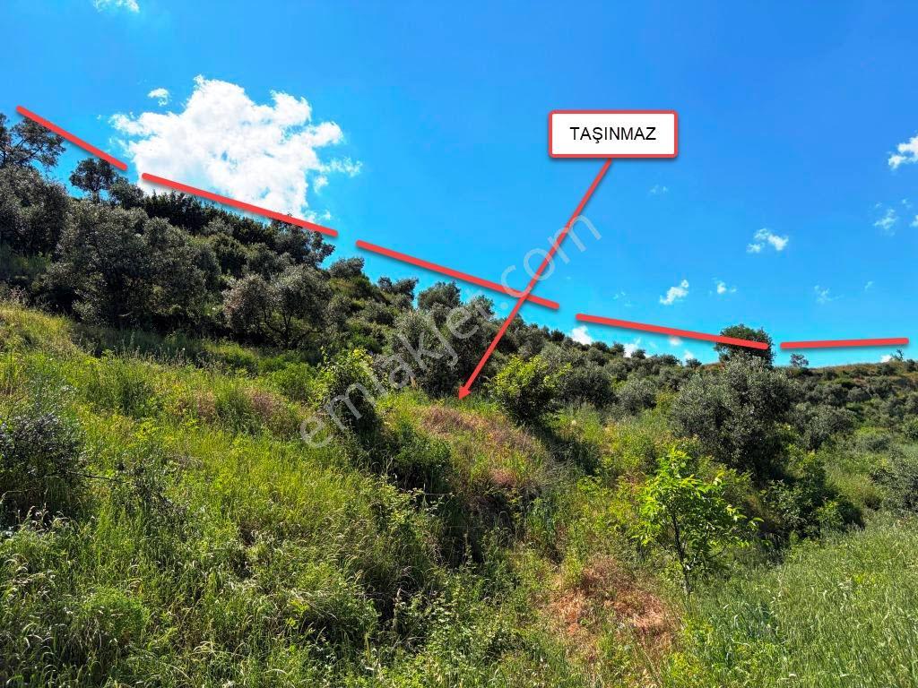 Bozdoğan Yeni Mahallede 12.860,32 M², Ulaşımı Kolay Zeytinlik - Görsel 10