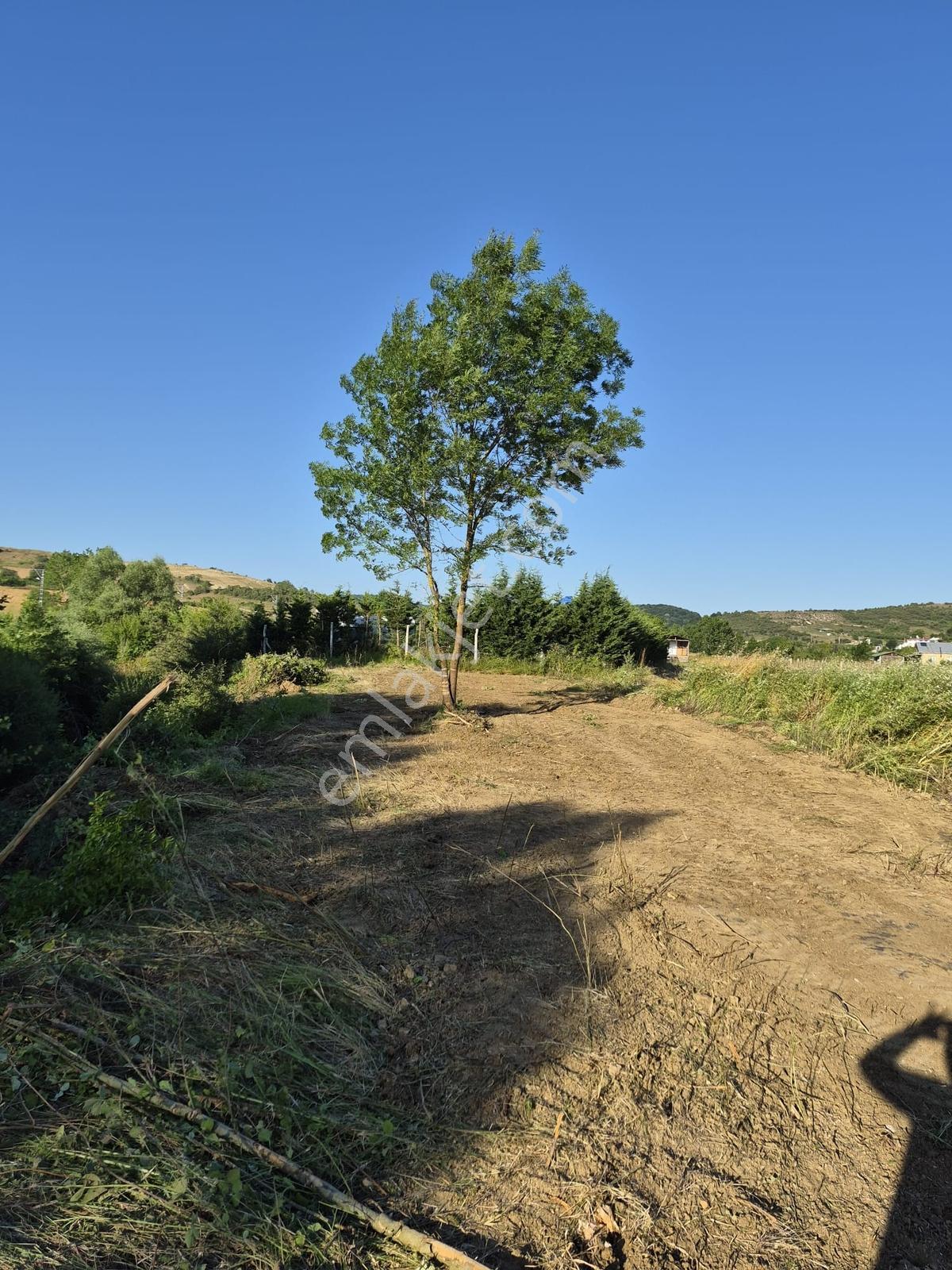 Acr Gyd'den Geredeli'de Satılık 831 M² Tarla - Görsel 2