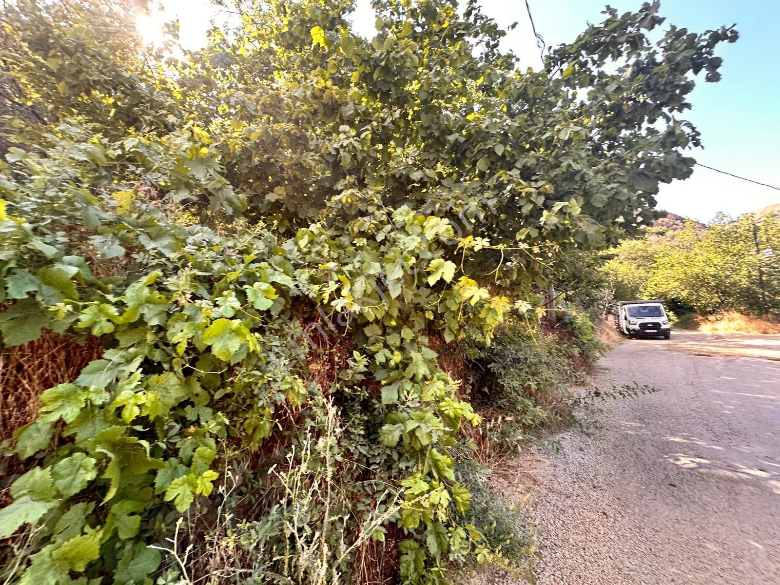 Sivas Koyulhisar Yukarıkale'de Satılık Arazi - Görsel 10