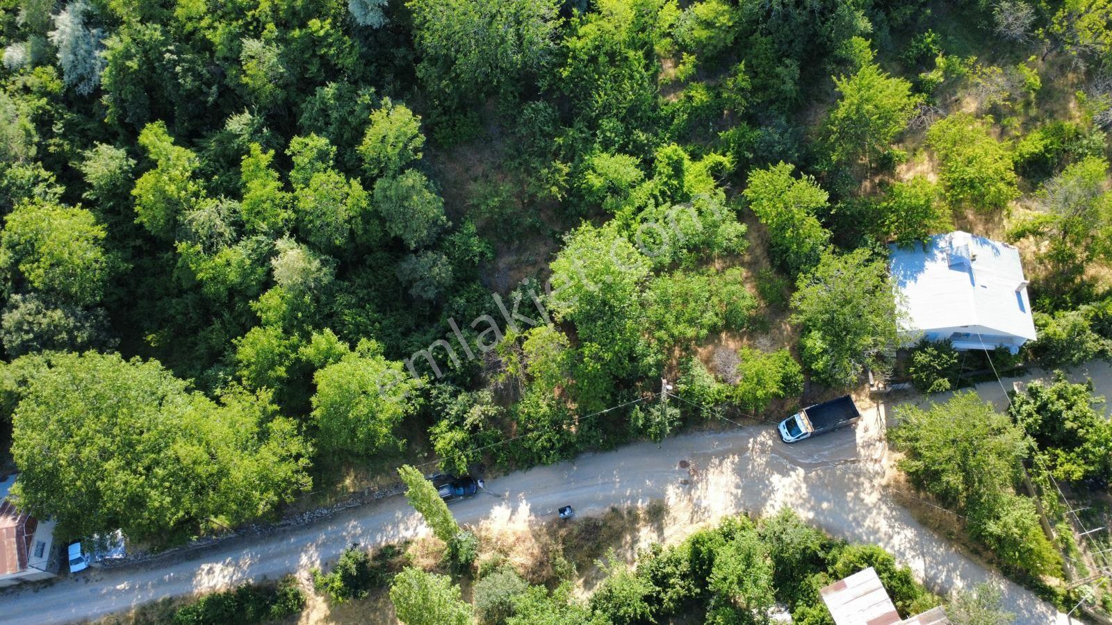Sivas Koyulhisar Yukarıkale'de Satılık Arazi - Görsel 21
