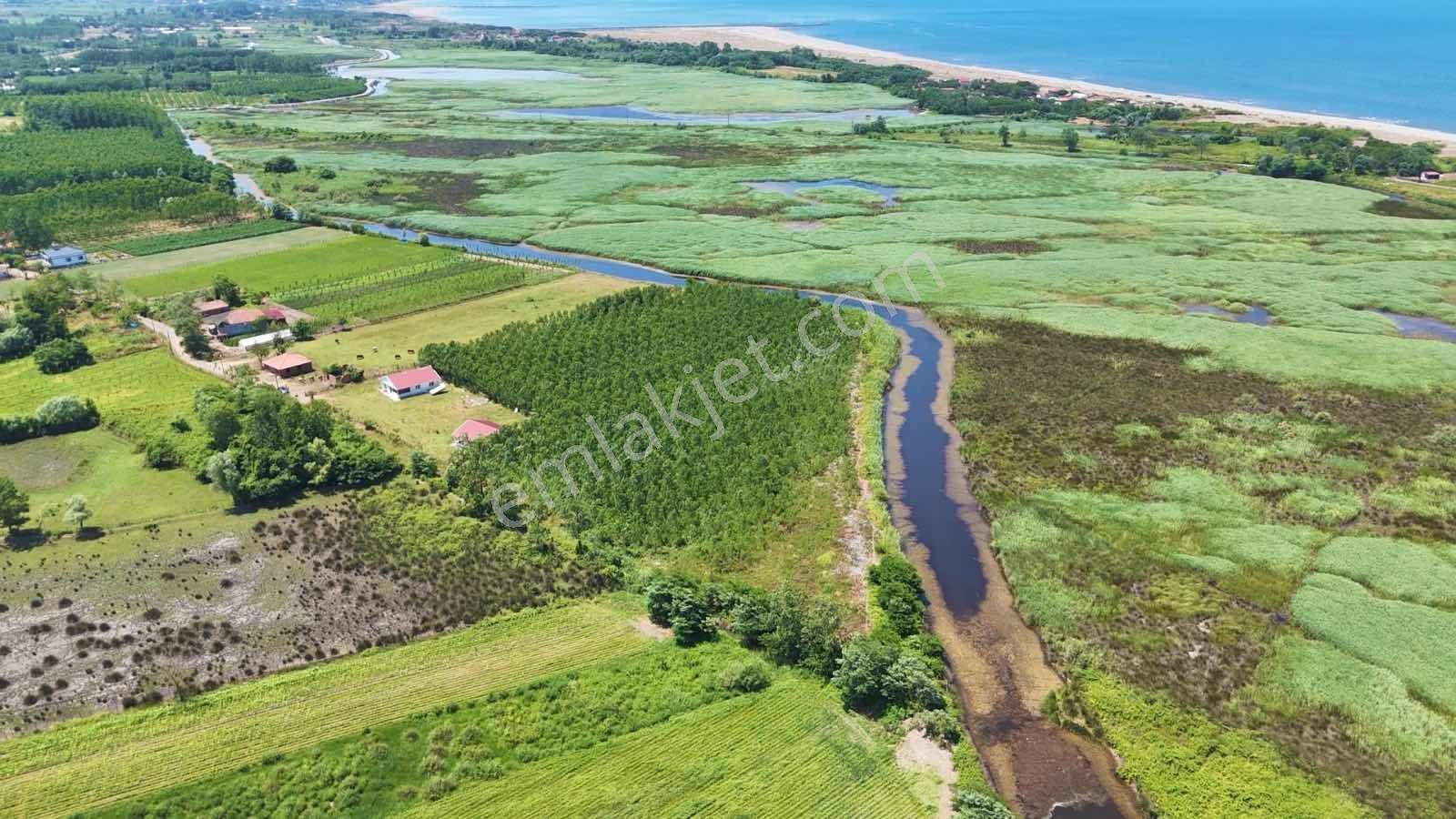 İlyas Nas'tan Çaltıda 1000 Adet Kavak Dahil, 20 Bin M2 Tarla - Görsel 26