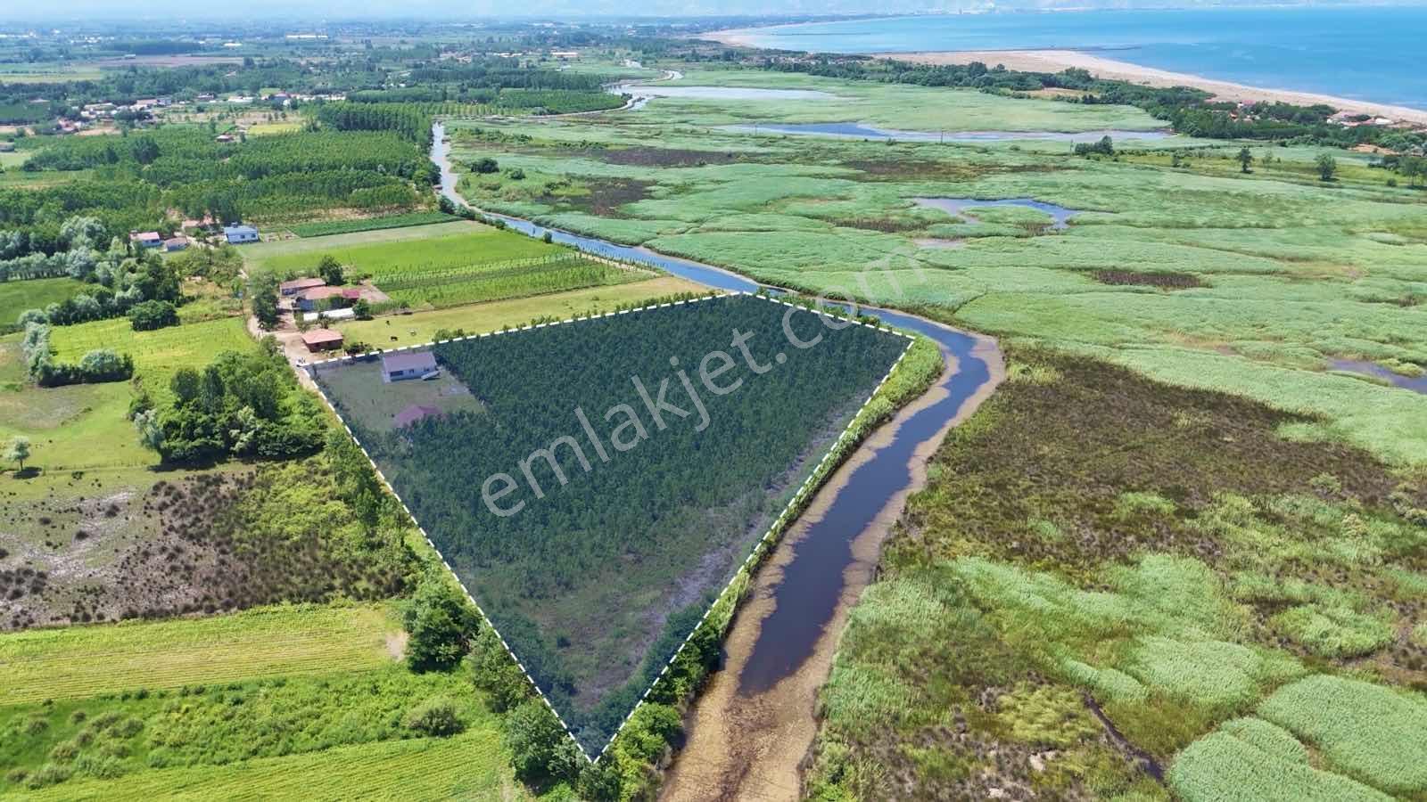İlyas Nas'tan Çaltıda 1000 Adet Kavak Dahil, 20 Bin M2 Tarla - Görsel 4