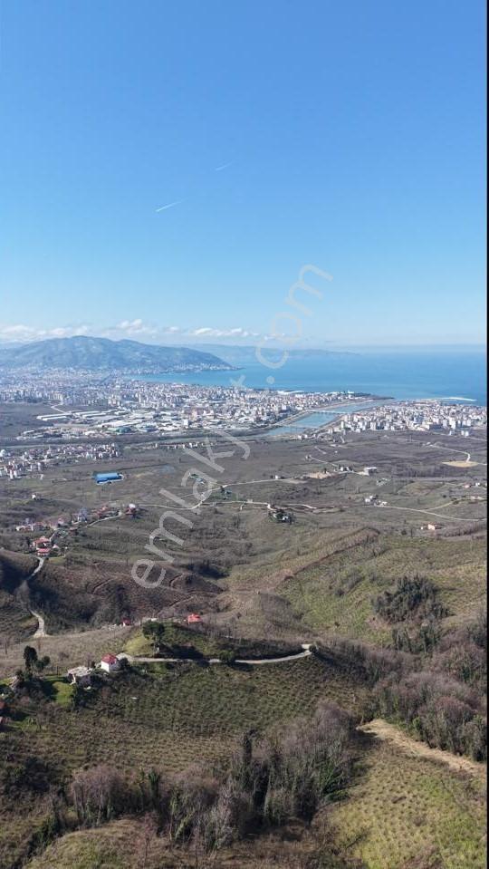 Akçatepe'de Deniz Ve Ordu Manzaralı Satılık Fındık Bahçesi - Görsel 8