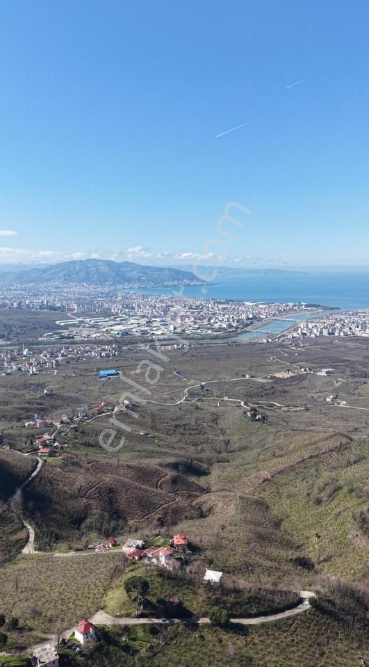 Akçatepe'de Deniz Ve Ordu Manzaralı Satılık Fındık Bahçesi - Görsel 7