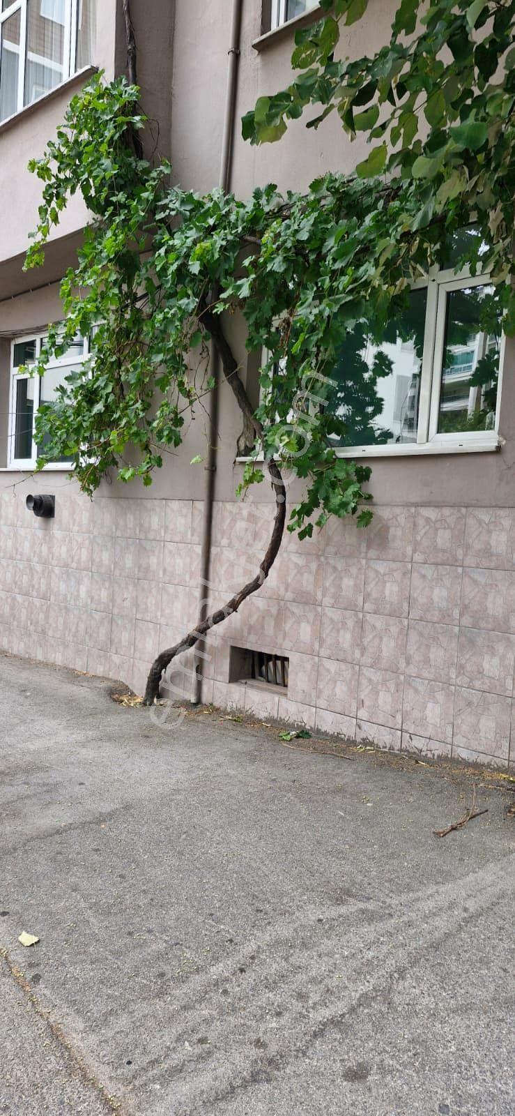 Lider Gruptan Sinandede Mahallesi’nde Uygun Kiralık Depo / Ofis / İşyeri - Görsel 15