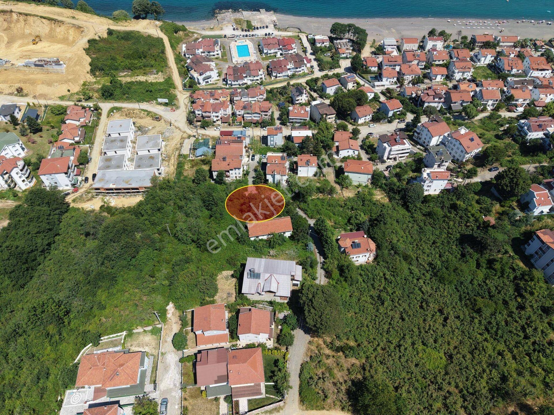 Akçakoca Ayazlı Mahallesi'nde 446 M2 Satılıkl Arsa