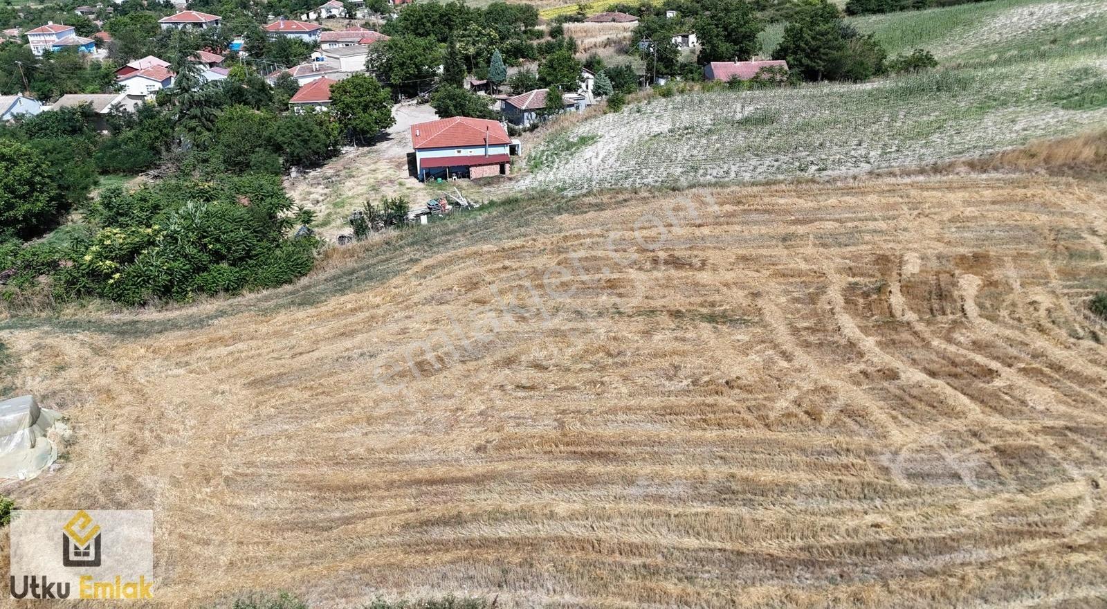 Pehlivanköy Akarca Da 1950 M2 Satılık İmarlı Arsa - Görsel 9