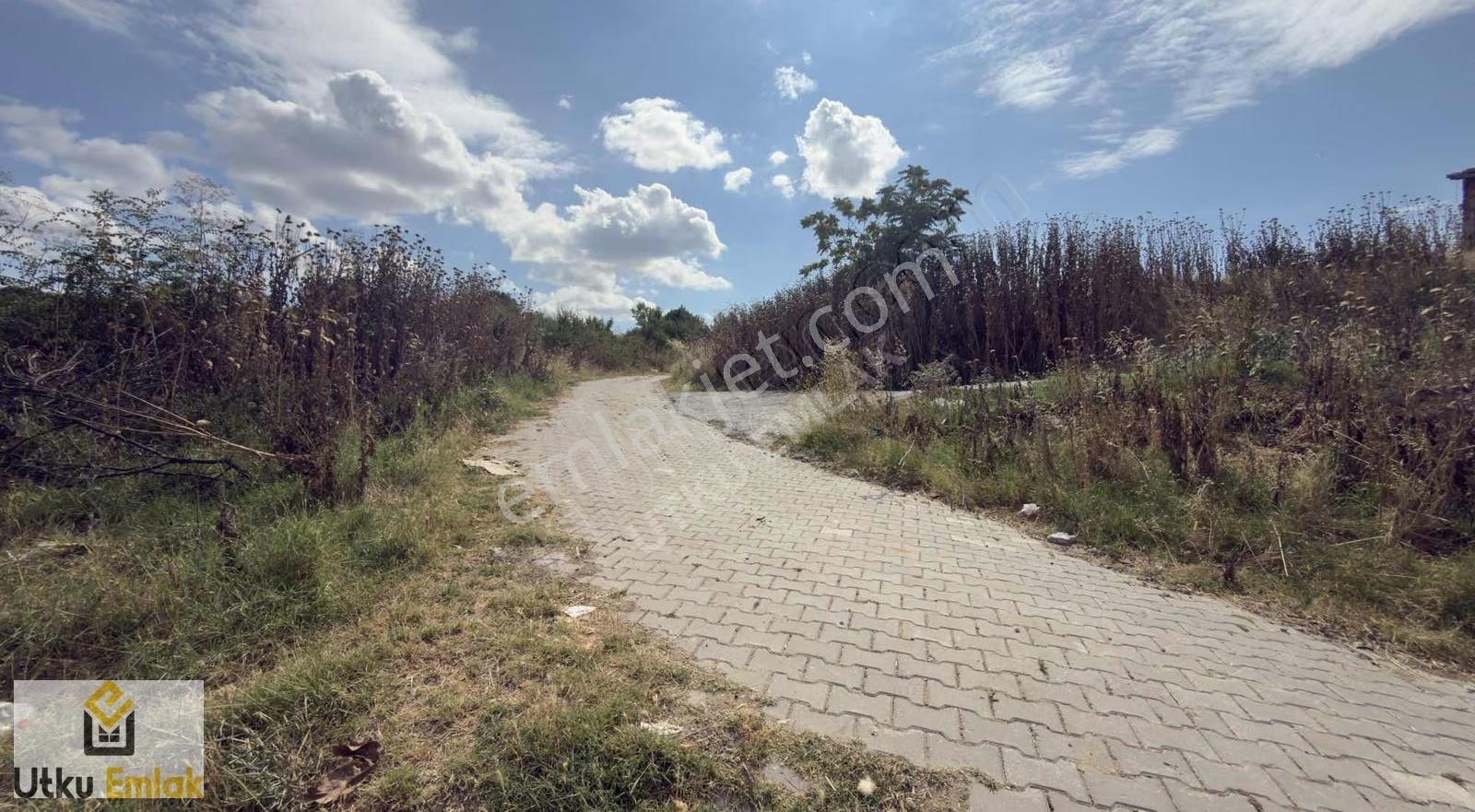 Pehlivanköy Akarca Da 1950 M2 Satılık İmarlı Arsa - Görsel 16