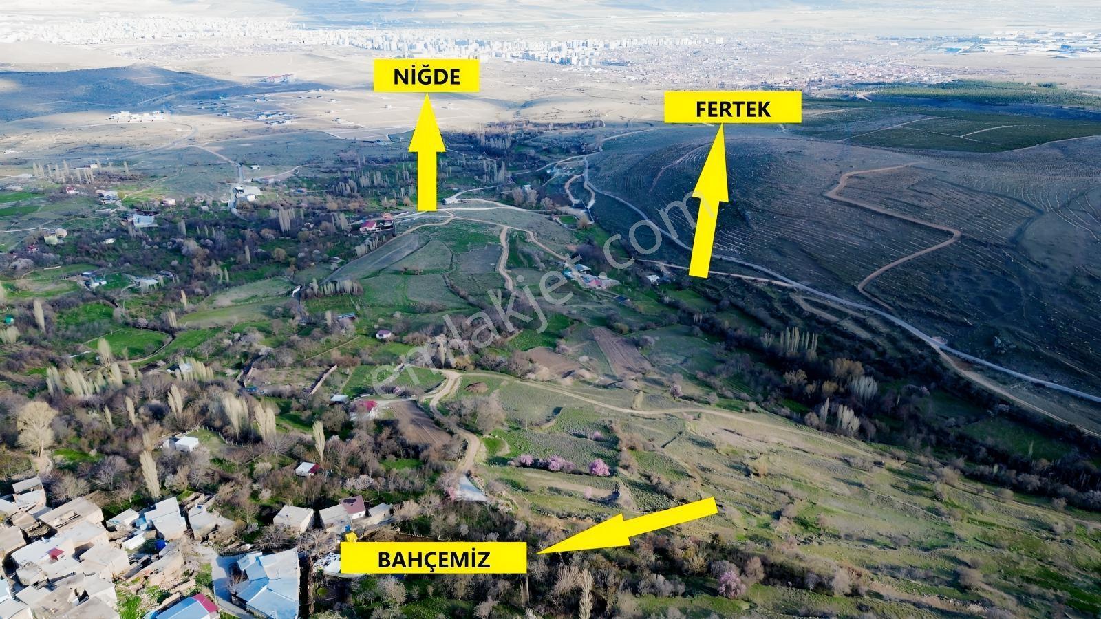 Hançerli'de Satılık Arsa Vasfında Meyve Bahçesi
