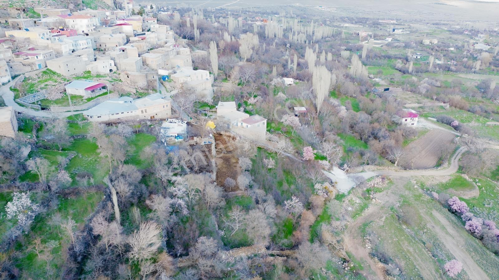 Hançerli'de Satılık Arsa Vasfında Meyve Bahçesi - Görsel 17