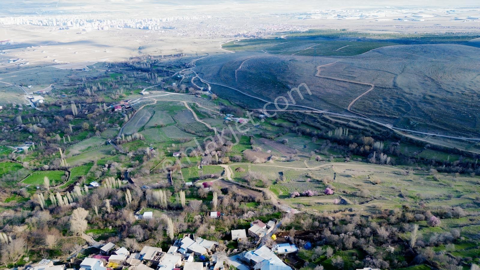 Hançerli'de Satılık Arsa Vasfında Meyve Bahçesi - Görsel 6