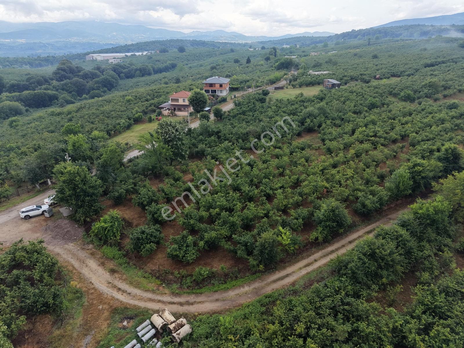 Emlak Evim - 1.000 M2 Konut İmarlı Arsa Gündoğan Mah. - Görsel 19