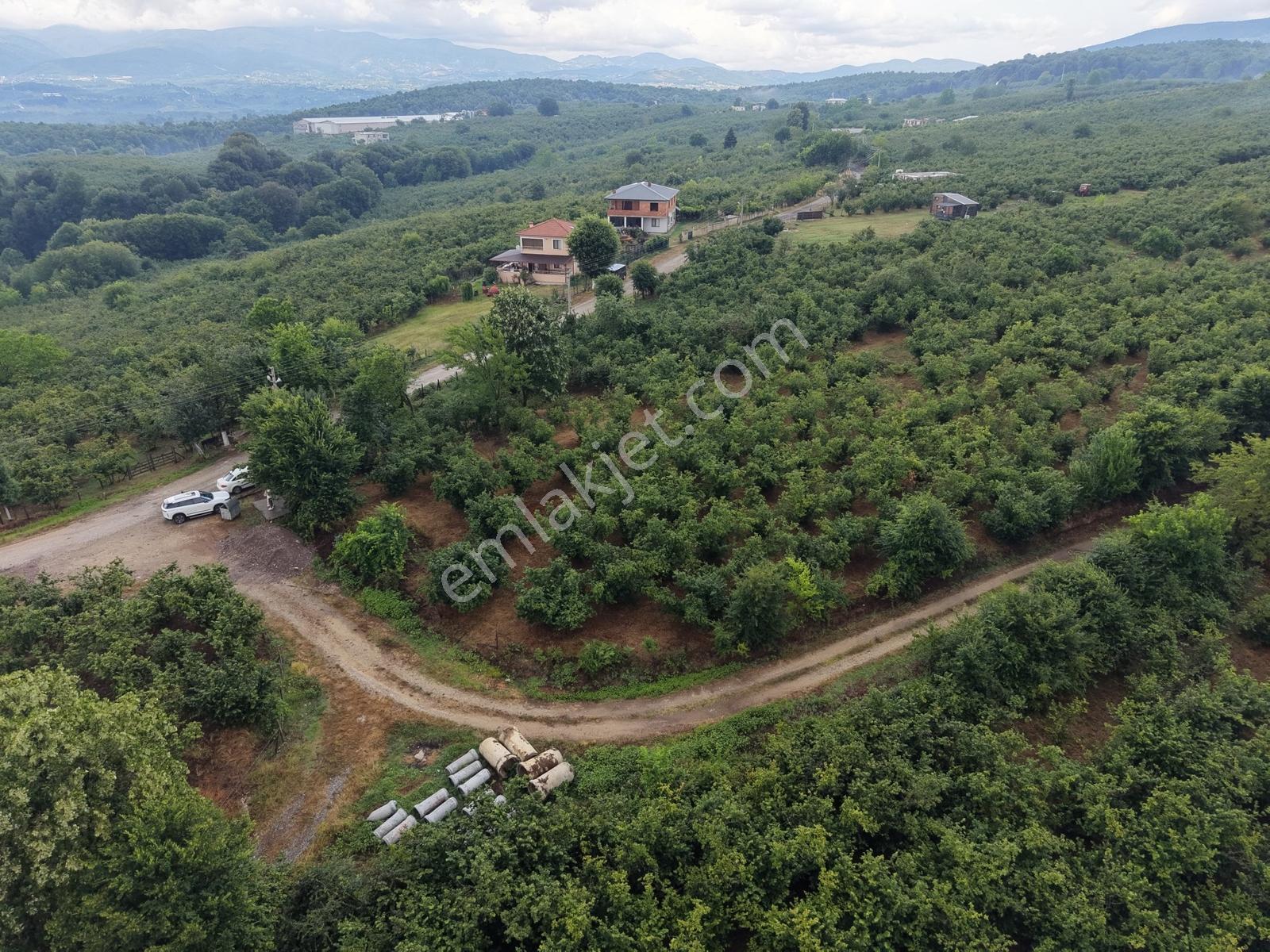 Emlak Evim - 1.000 M2 Konut İmarlı Arsa Gündoğan Mah. - Görsel 24