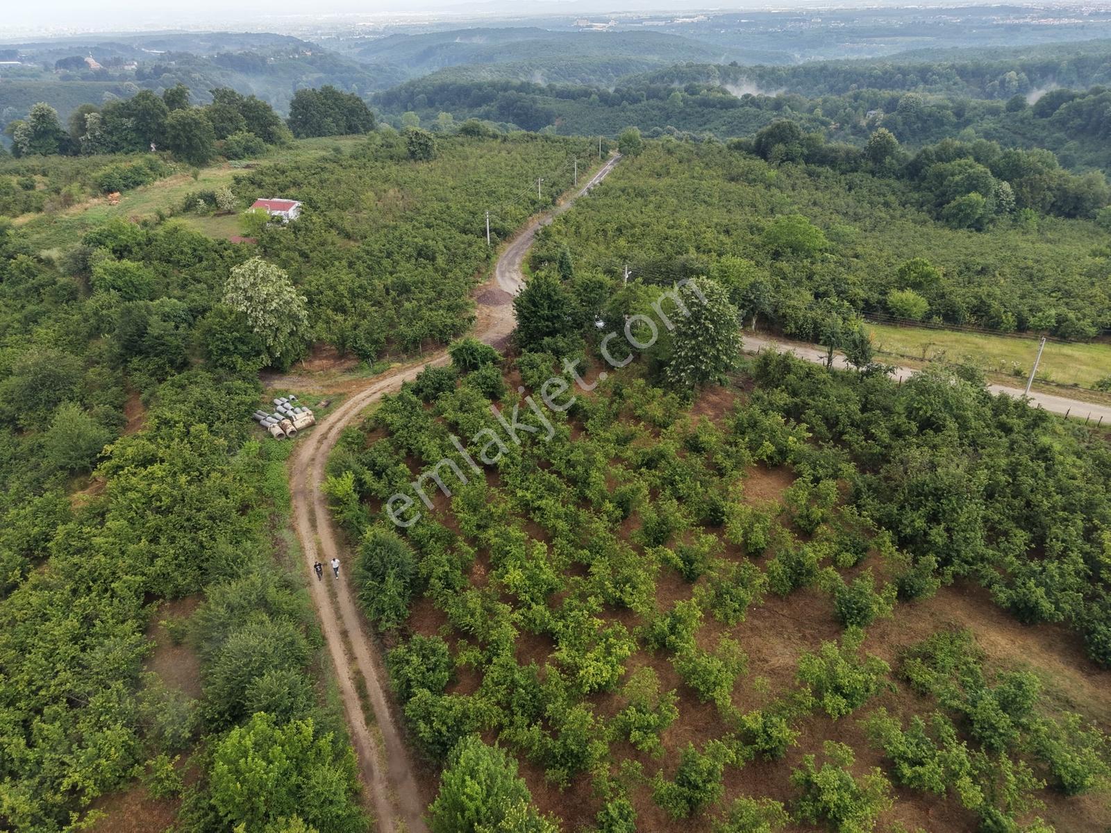 Emlak Evim - 1.000 M2 Konut İmarlı Arsa Gündoğan Mah. - Görsel 5