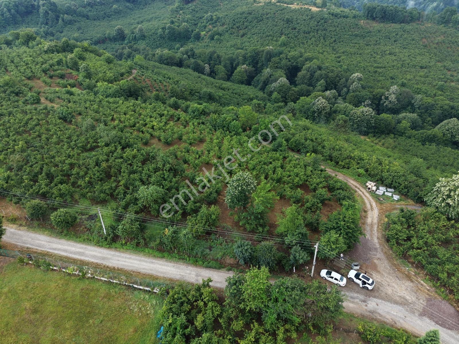 Emlak Evim - 1.000 M2 Konut İmarlı Arsa Gündoğan Mah. - Görsel 10