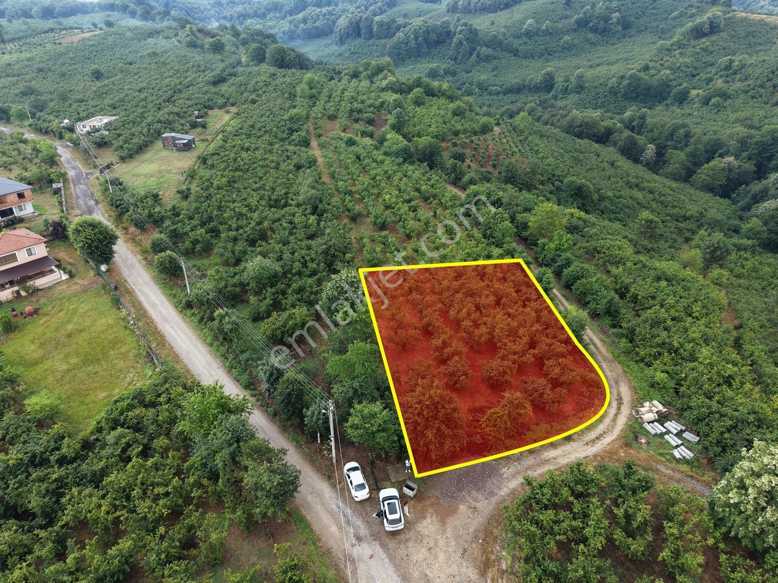 Emlak Evim - 1.000 M2 Konut İmarlı Arsa Gündoğan Mah. - Görsel 16