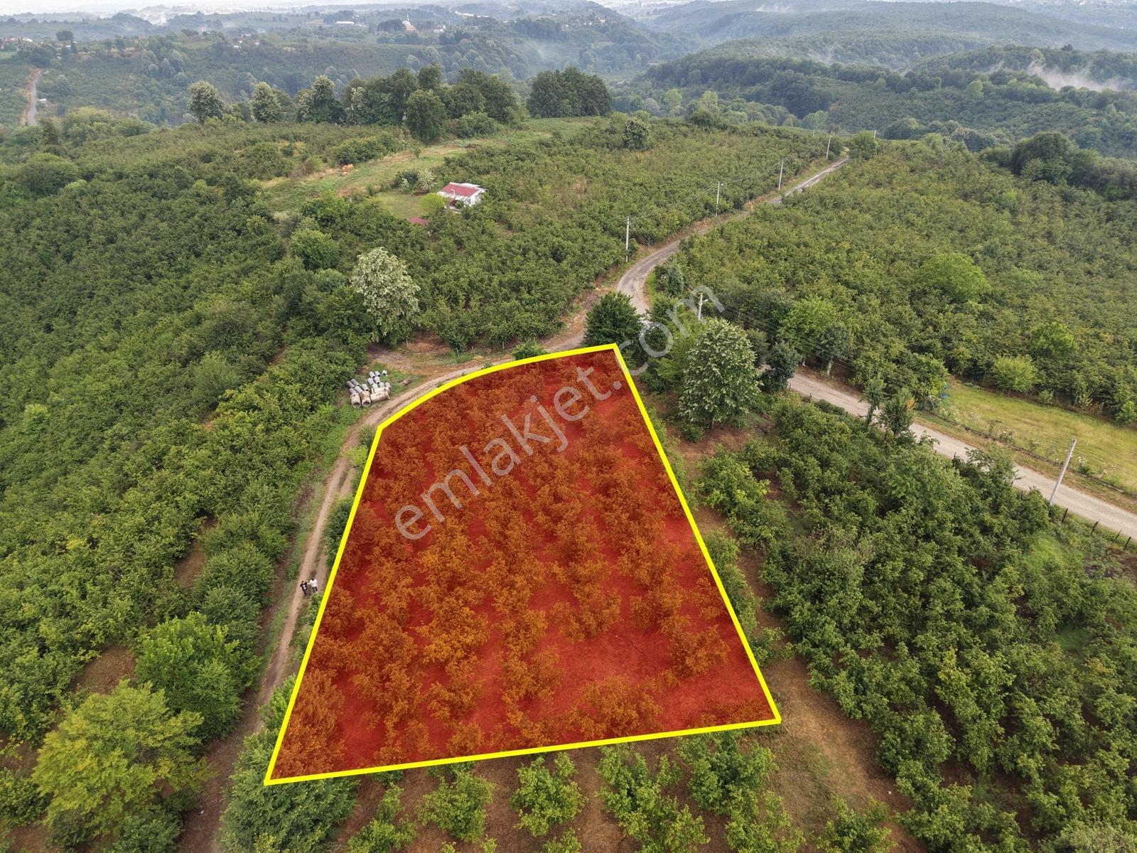 Emlak Evim - 1.000 M2 Konut İmarlı Arsa Gündoğan Mah. - Görsel 6