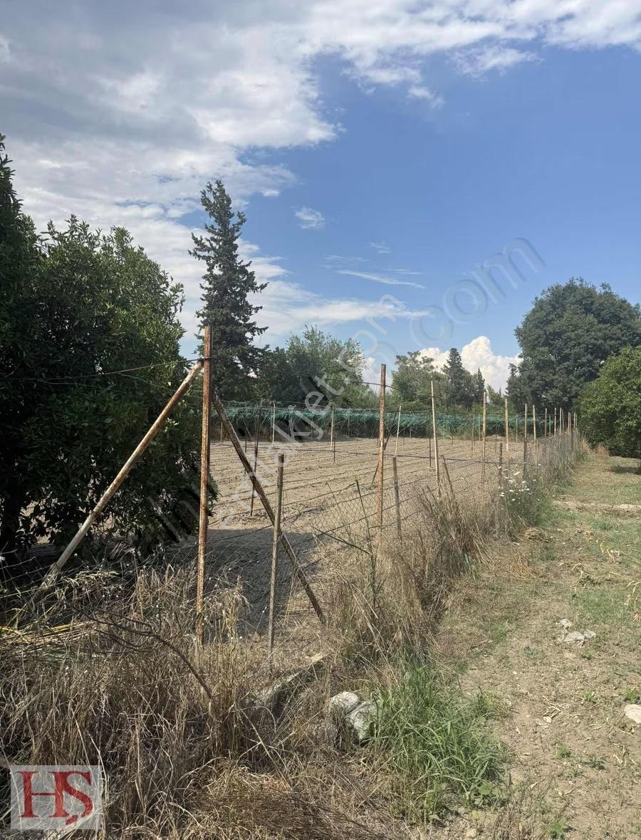 Konyaaltı Zümrüt Mahallesi Hisseli Tarla - Görsel 6