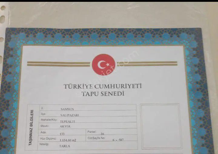 Acil Satılık Fındık Bahçesi Yatırımlık Kucuk Ahcesi