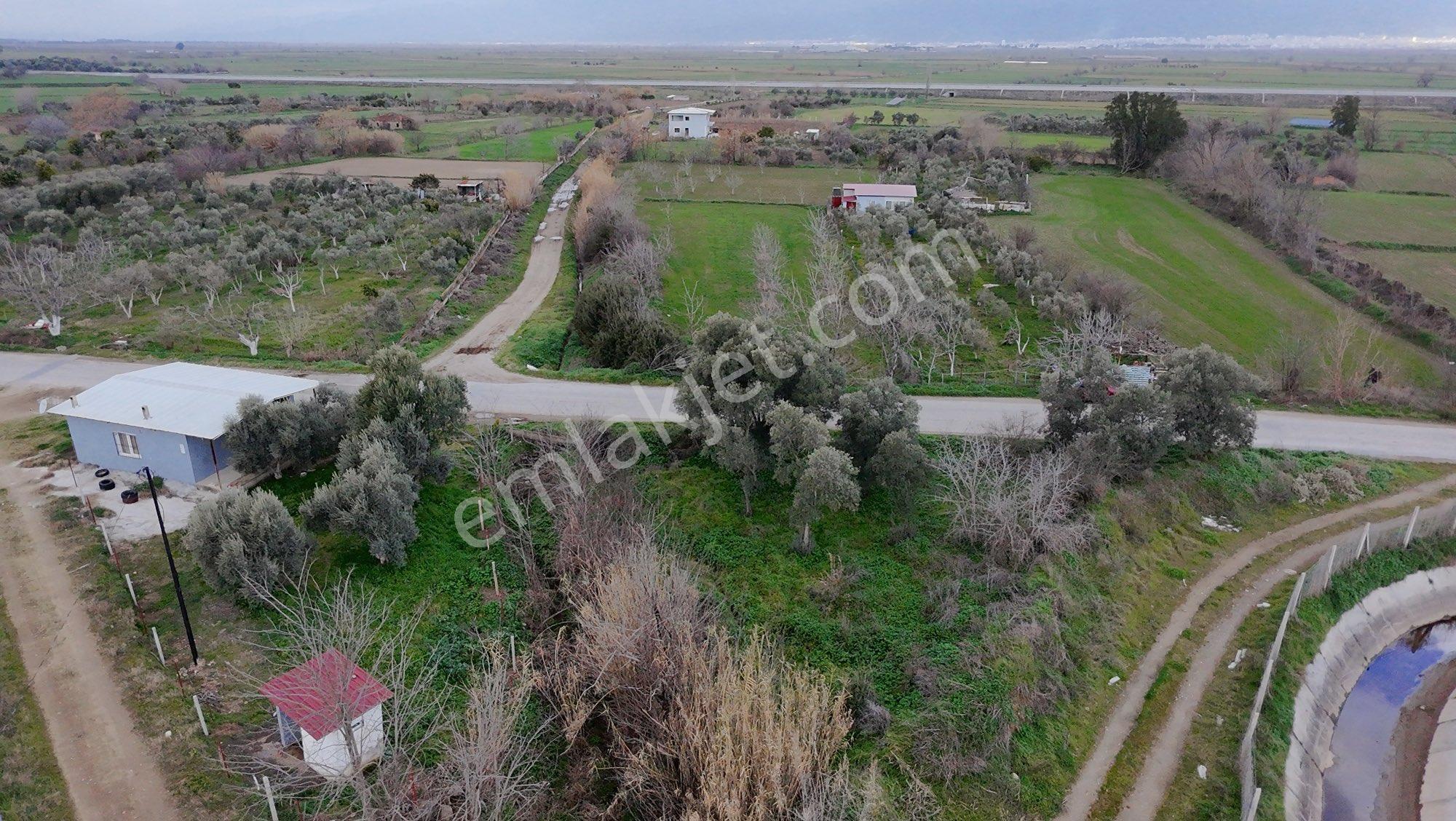 🚨 Satılık 3 Dönüm Zeytinlik – Villalık Arazi! 🌿🏡 - Görsel 12