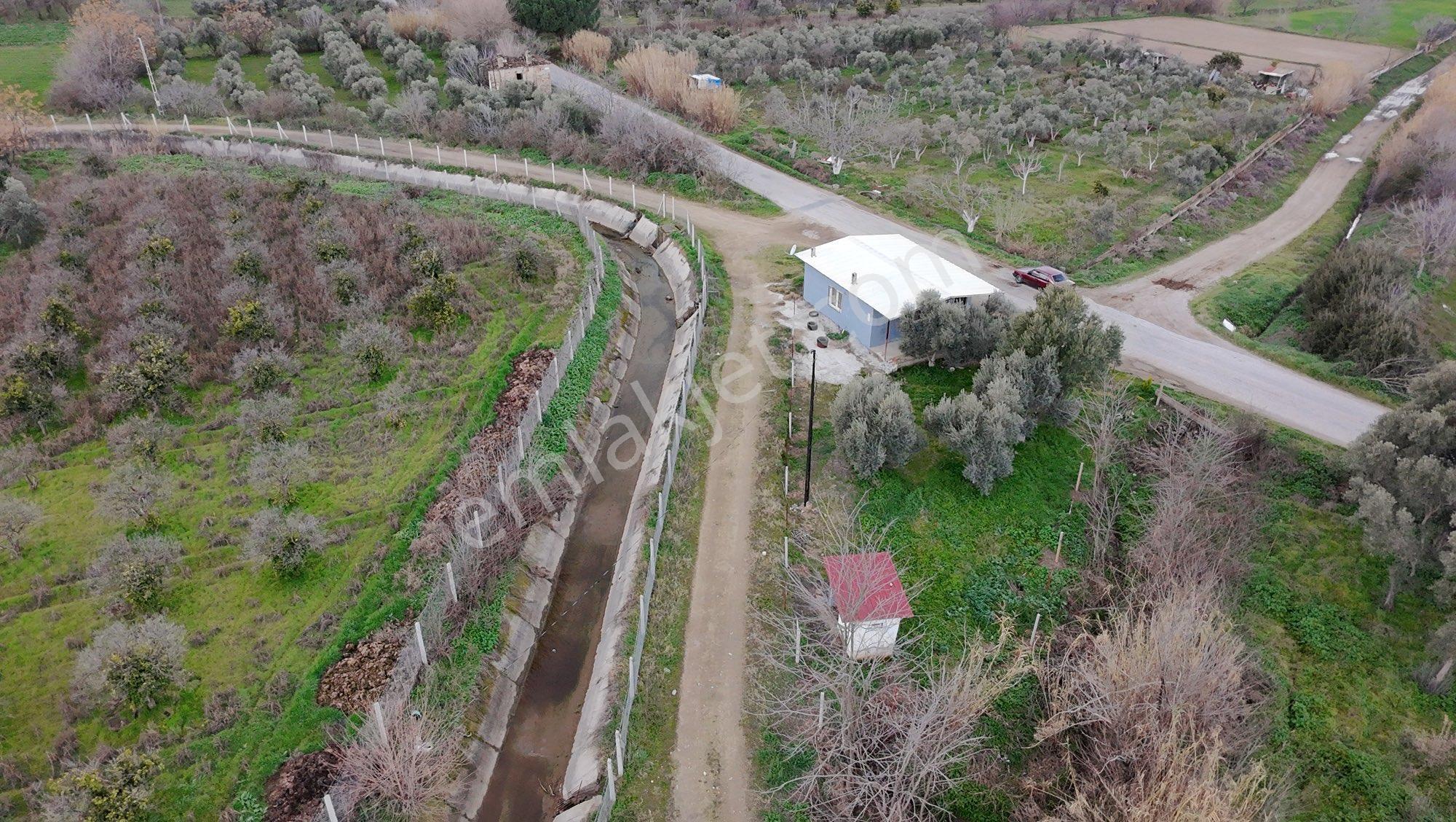 🚨 Kiralık 3 Dönüm Zeytinlik – Hobi Bahçesi - Görsel 17