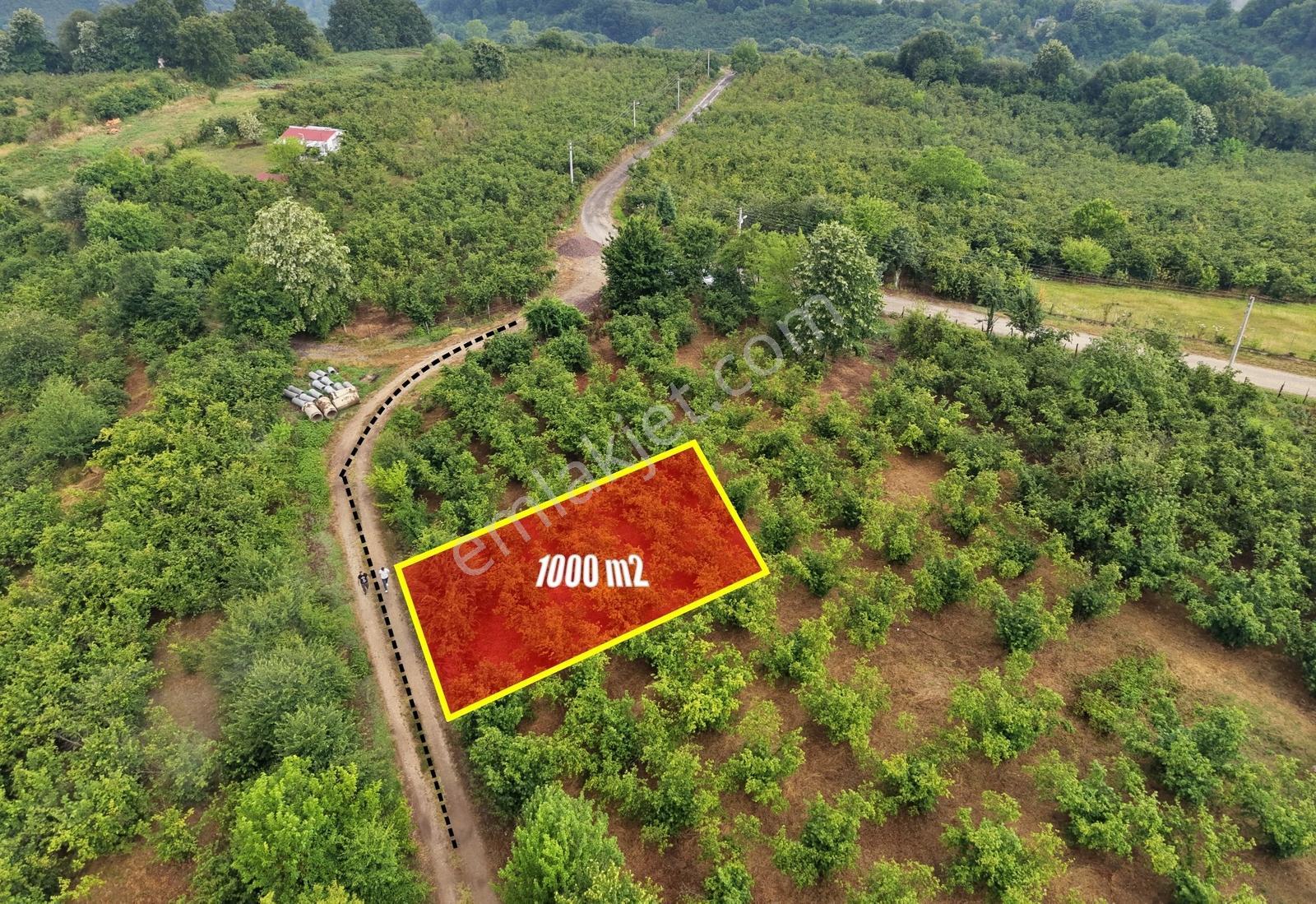 Emlak Evim Gündoğan Mah. 1000 M2 İmarlı Arsa - Görsel 7