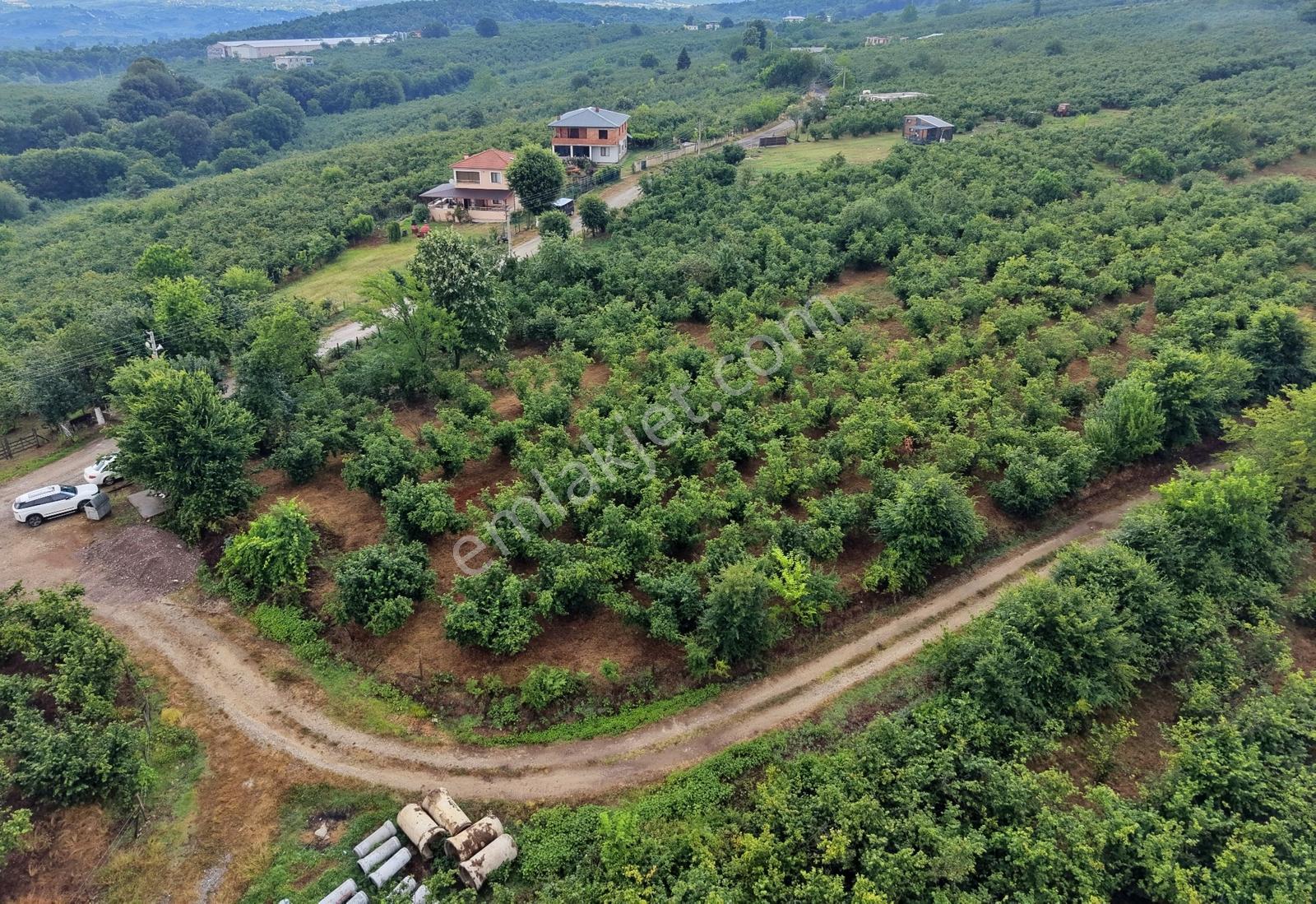 Emlak Evim Gündoğan Mah. 1000 M2 İmarlı Arsa - Görsel 9