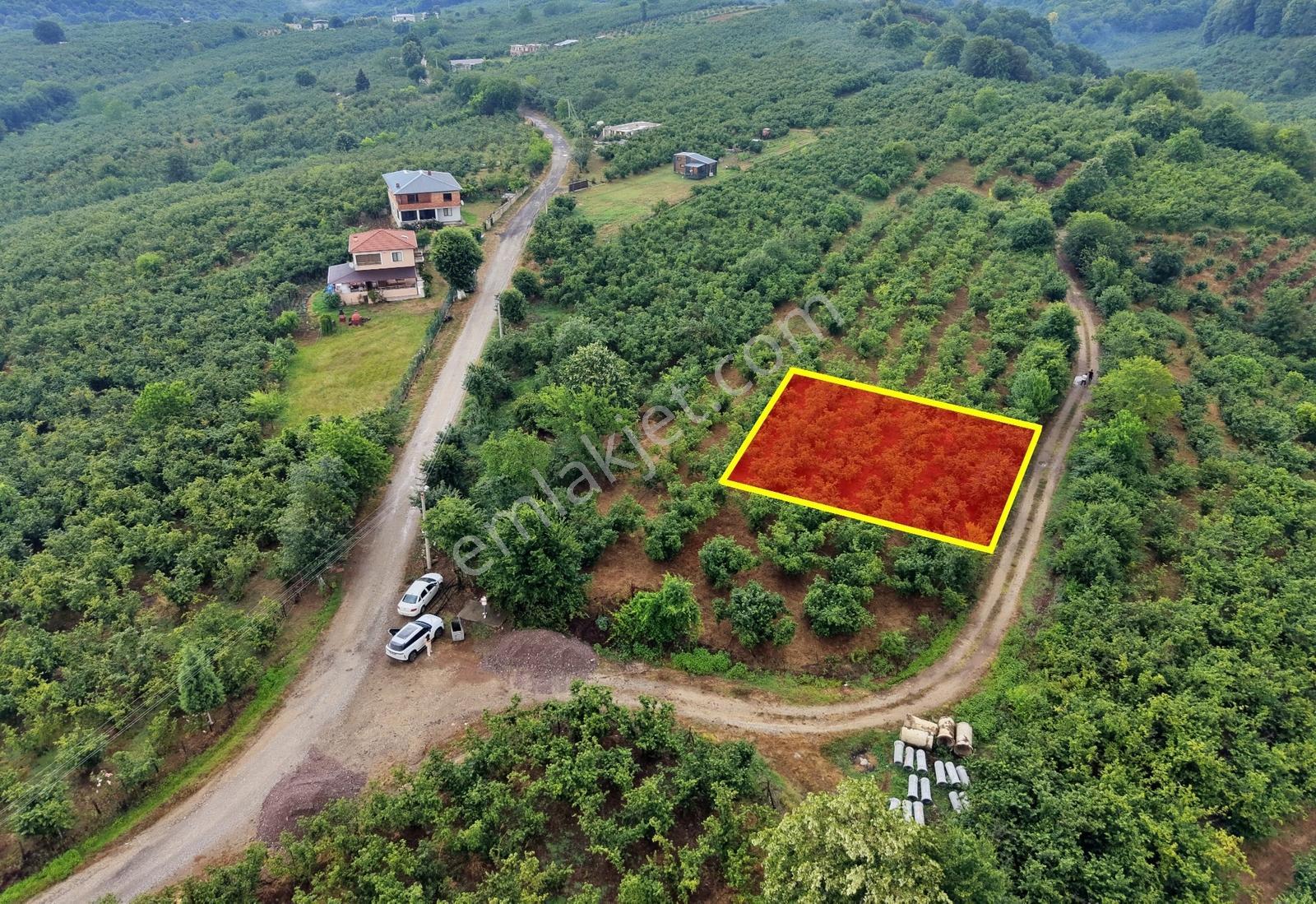 Emlak Evim Gündoğan Mah. 1000 M2 İmarlı Arsa - Görsel 11