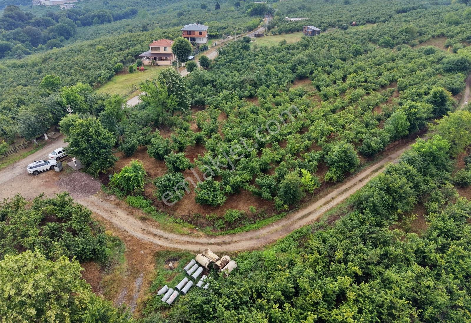 Emlak Evim Gündoğan Mah. 1000 M2 İmarlı Arsa - Görsel 2