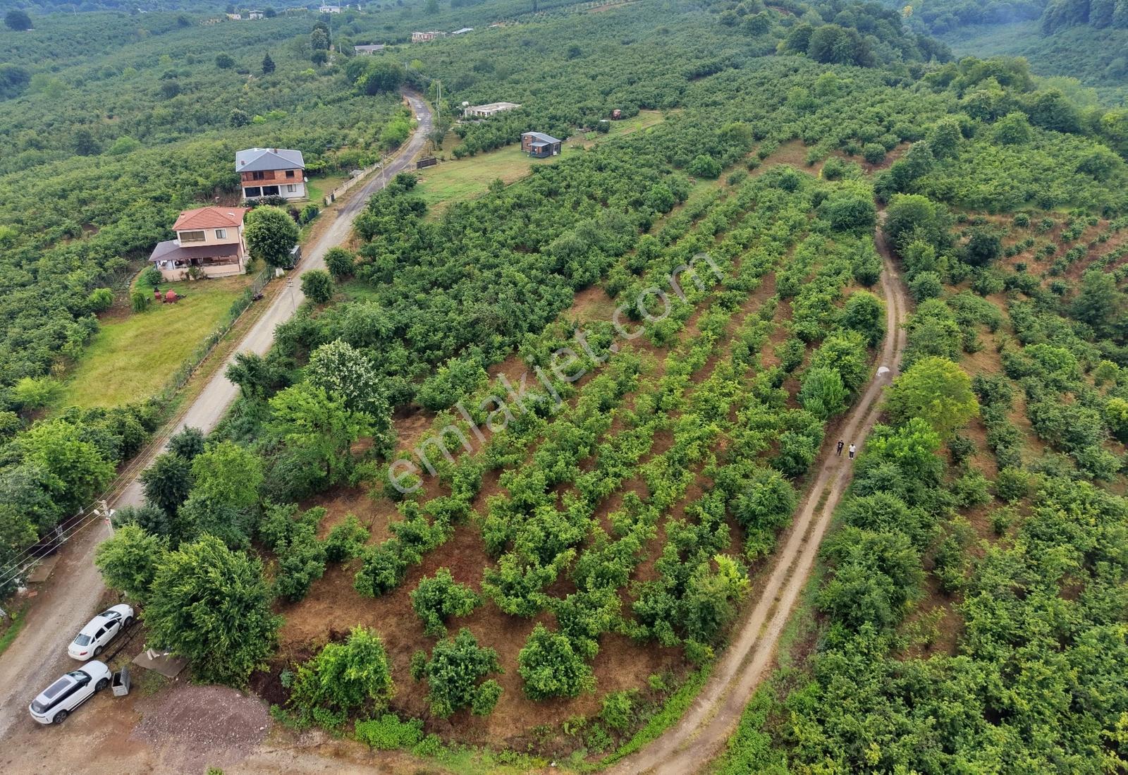 Emlak Evim Gündoğan Mah. 1000 M2 İmarlı Arsa - Görsel 15