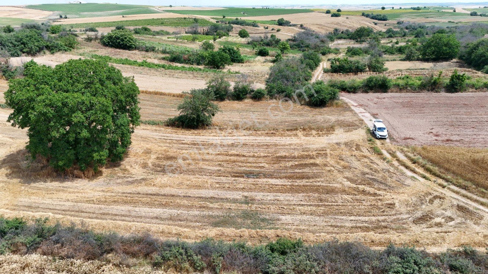 Resmi Yola Cephe Bağ Nitelikli Taşınmaz. Edirne Havza Şerbettar - Görsel 21