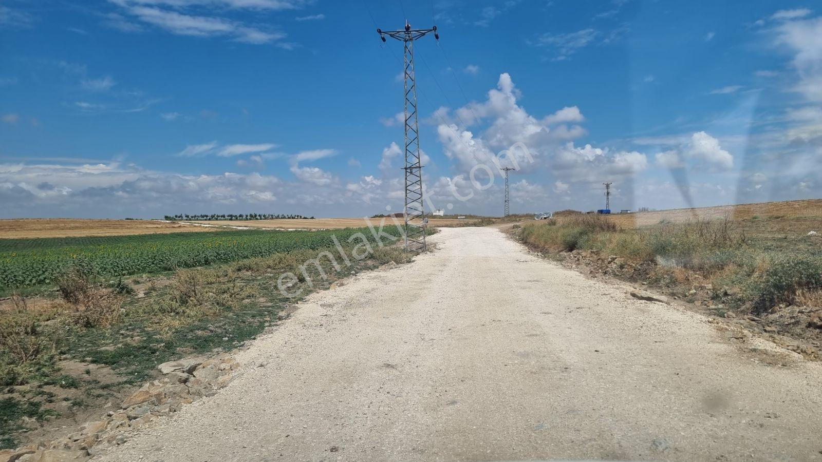 Resmi Yola Cephe Bağ Nitelikli Taşınmaz. Edirne Havza Şerbettar - Görsel 3